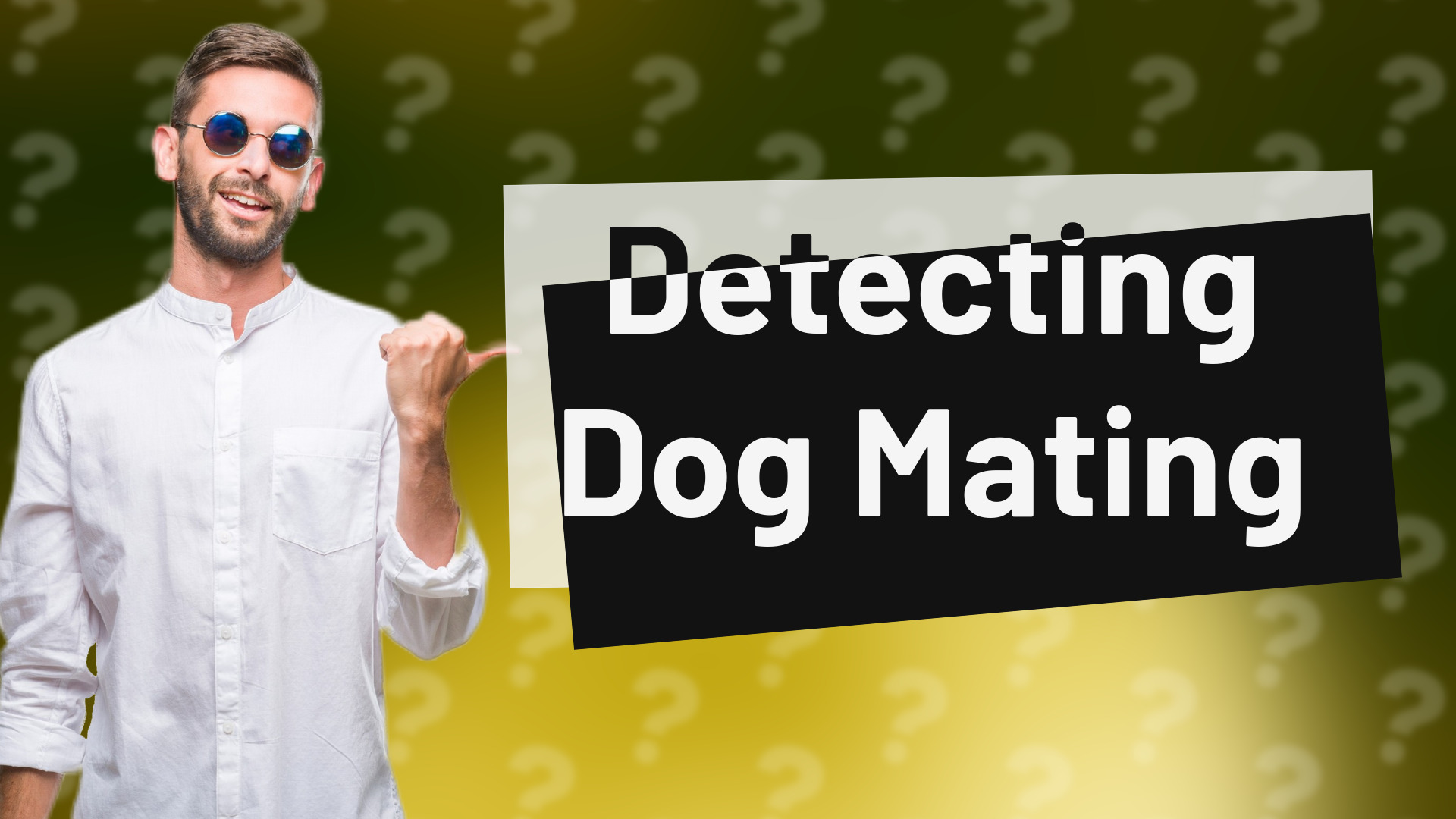 Detecting Dog Mating