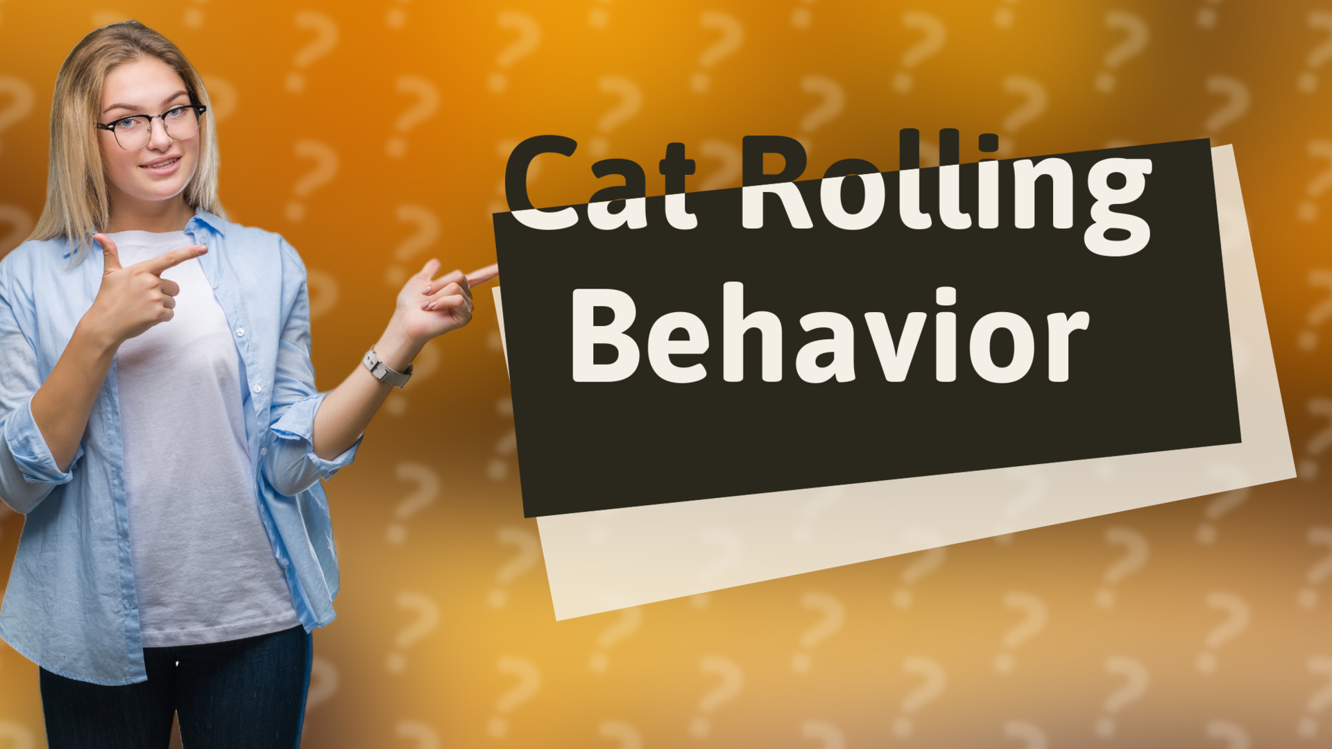 Cat Rolling Behavior