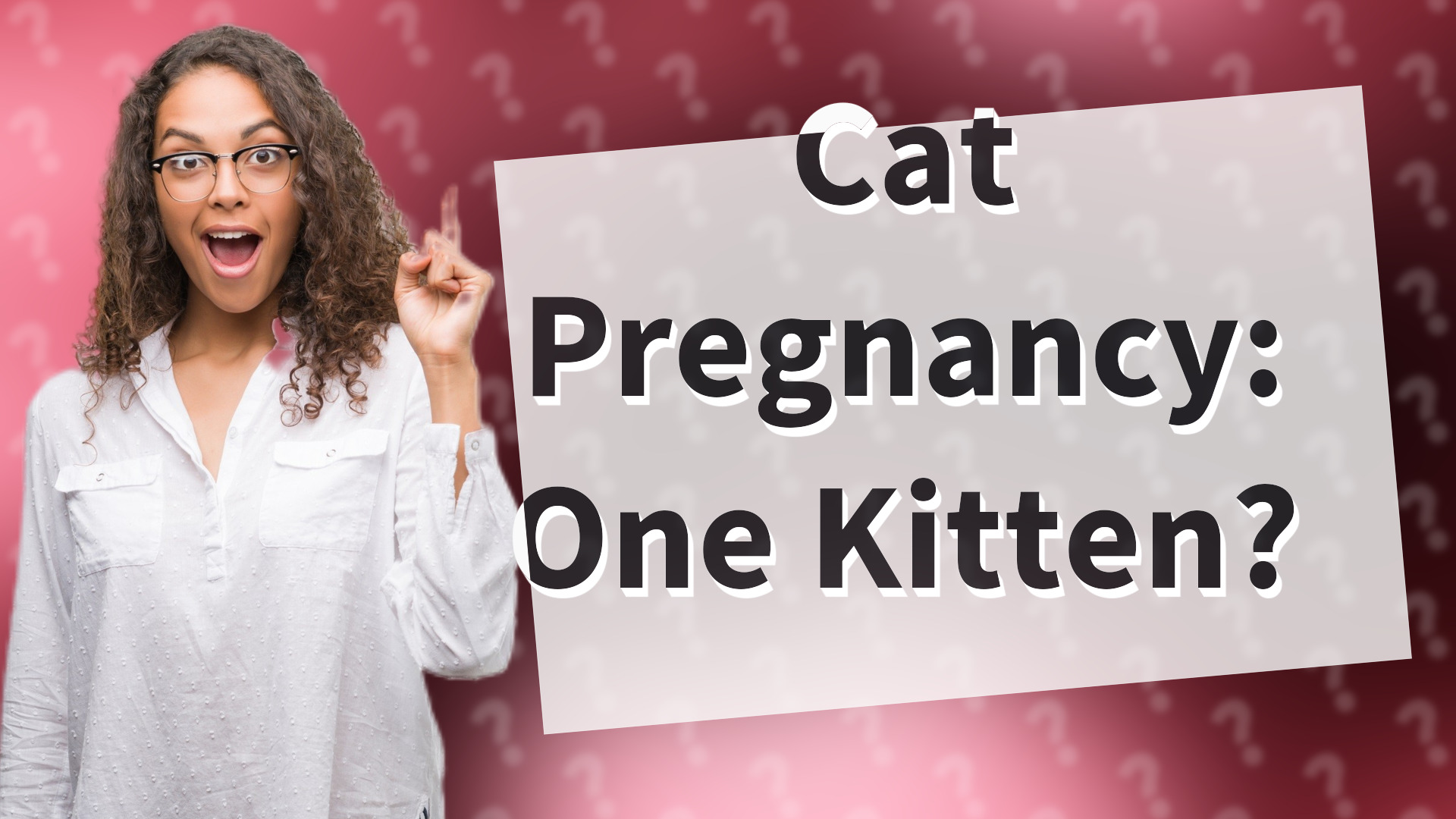 Cat Pregnancy: One Kitten?