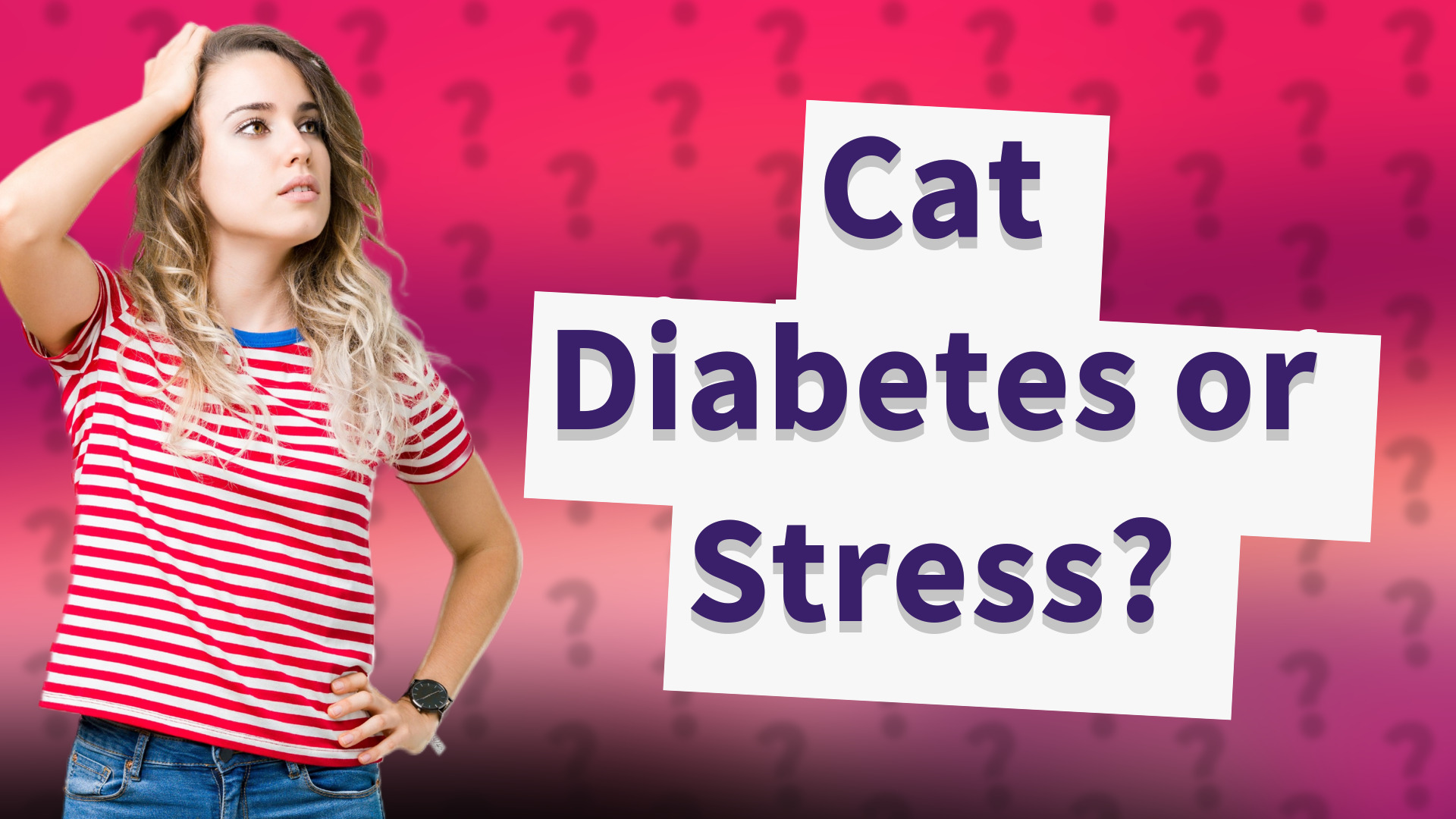 Cat Diabetes or Stress?