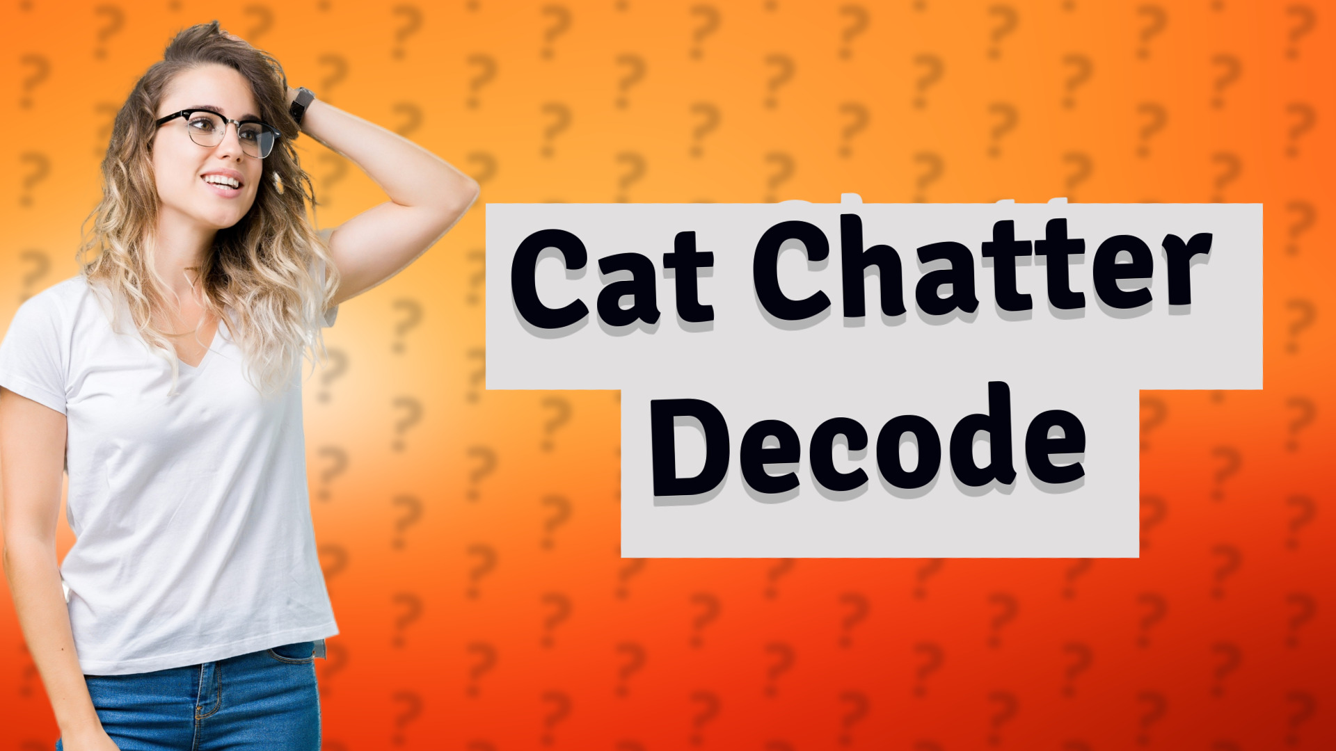 Cat Chatter Decode