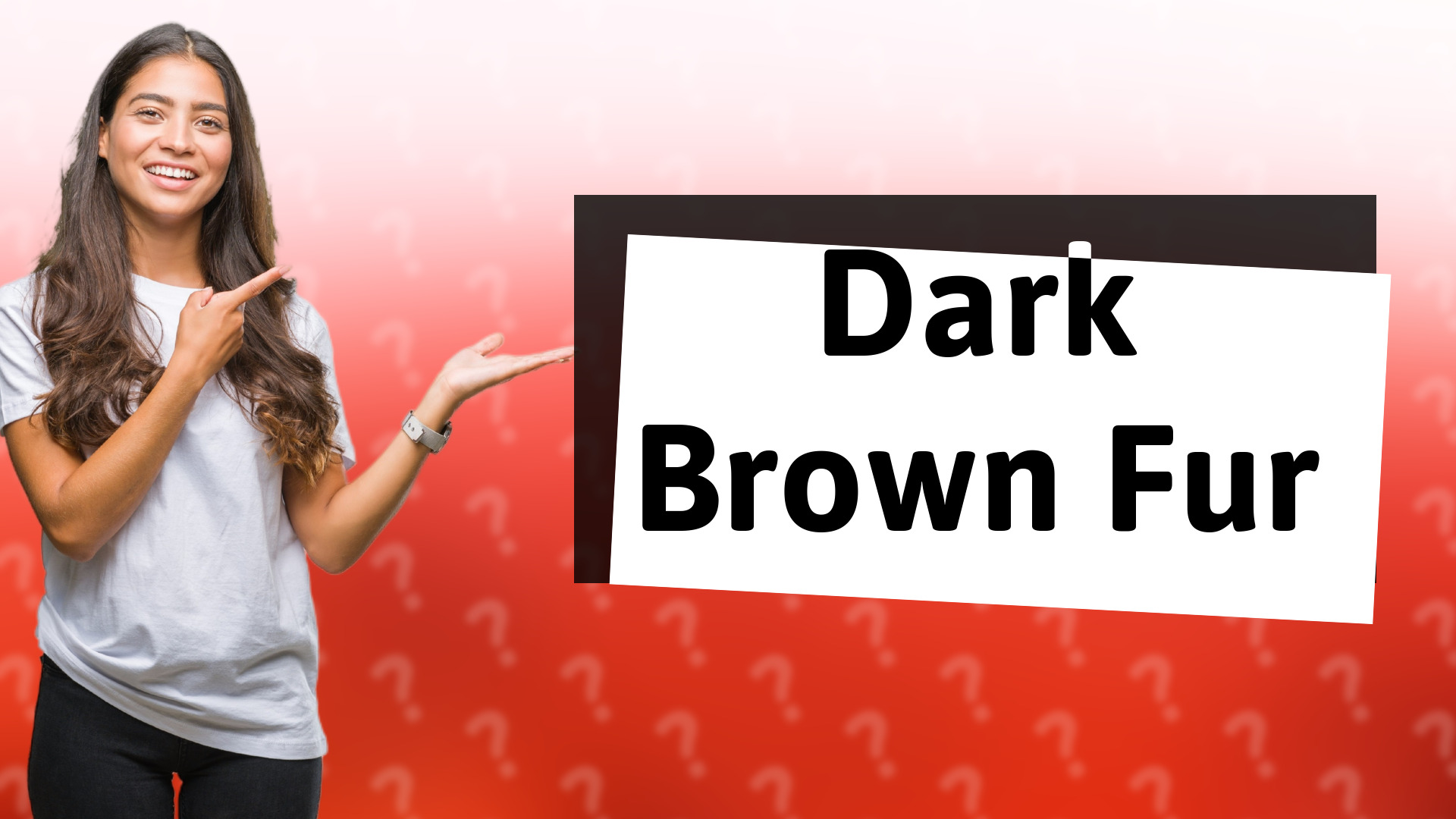 Dark Brown Fur