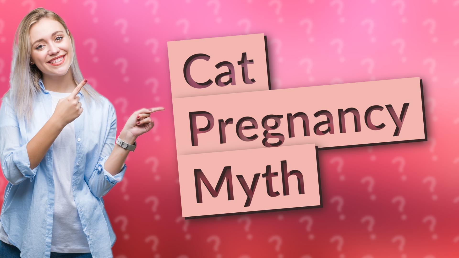 Cat Pregnancy Myth