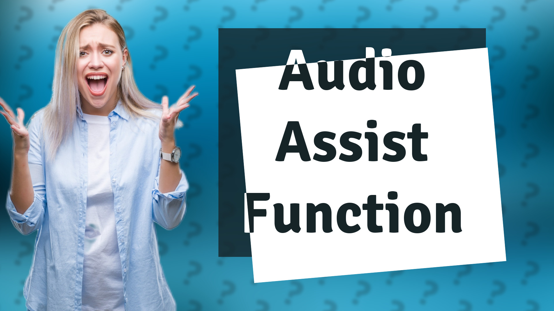 Audio Assist Function