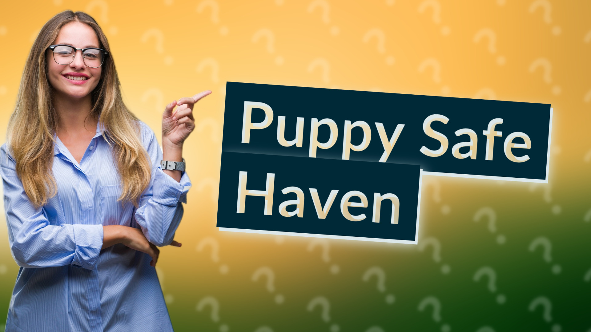 Puppy Safe Haven