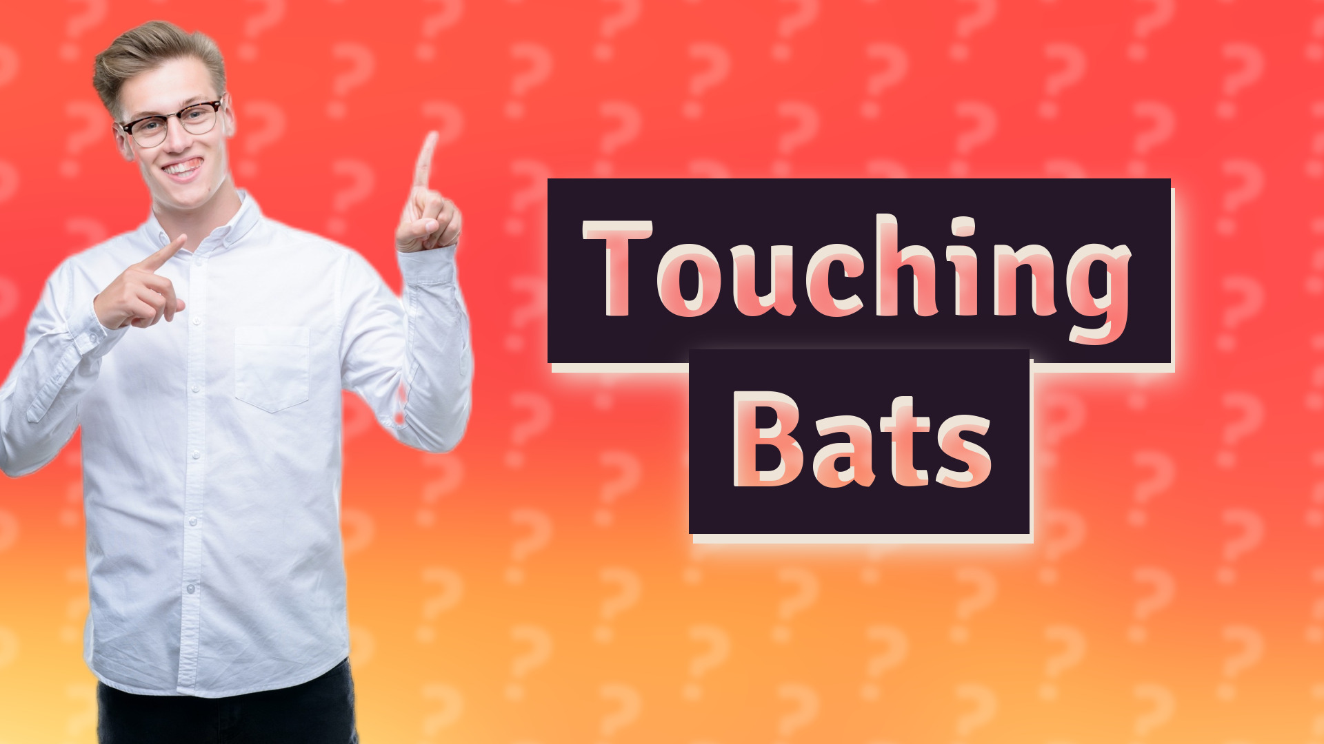 Touching Bats