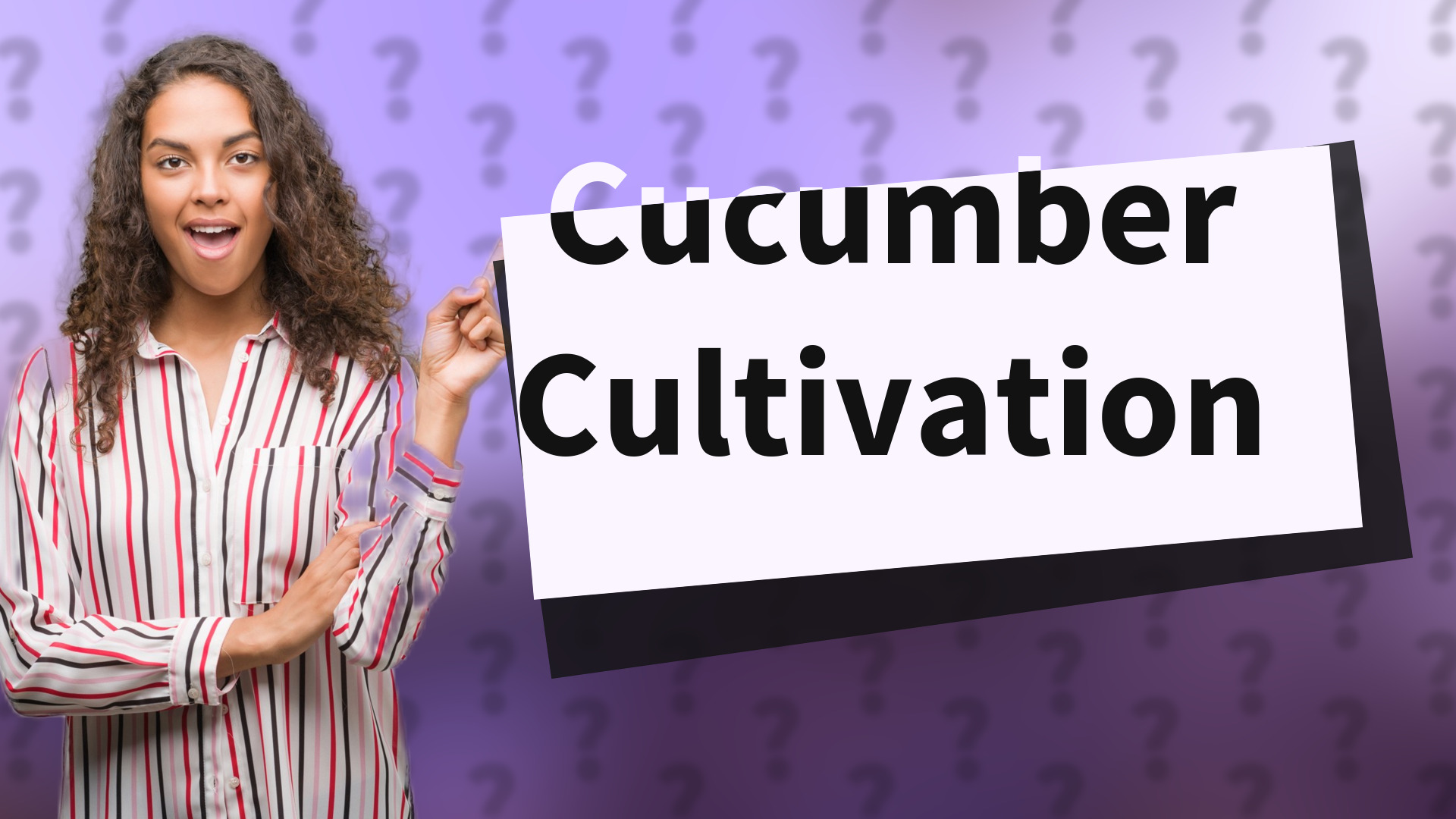 Cucumber Cultivation