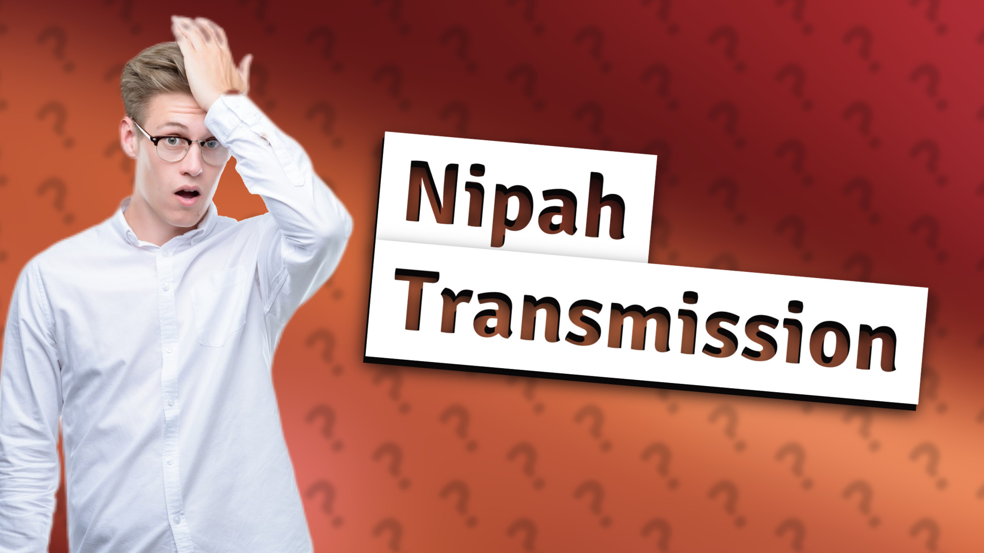Nipah Transmission