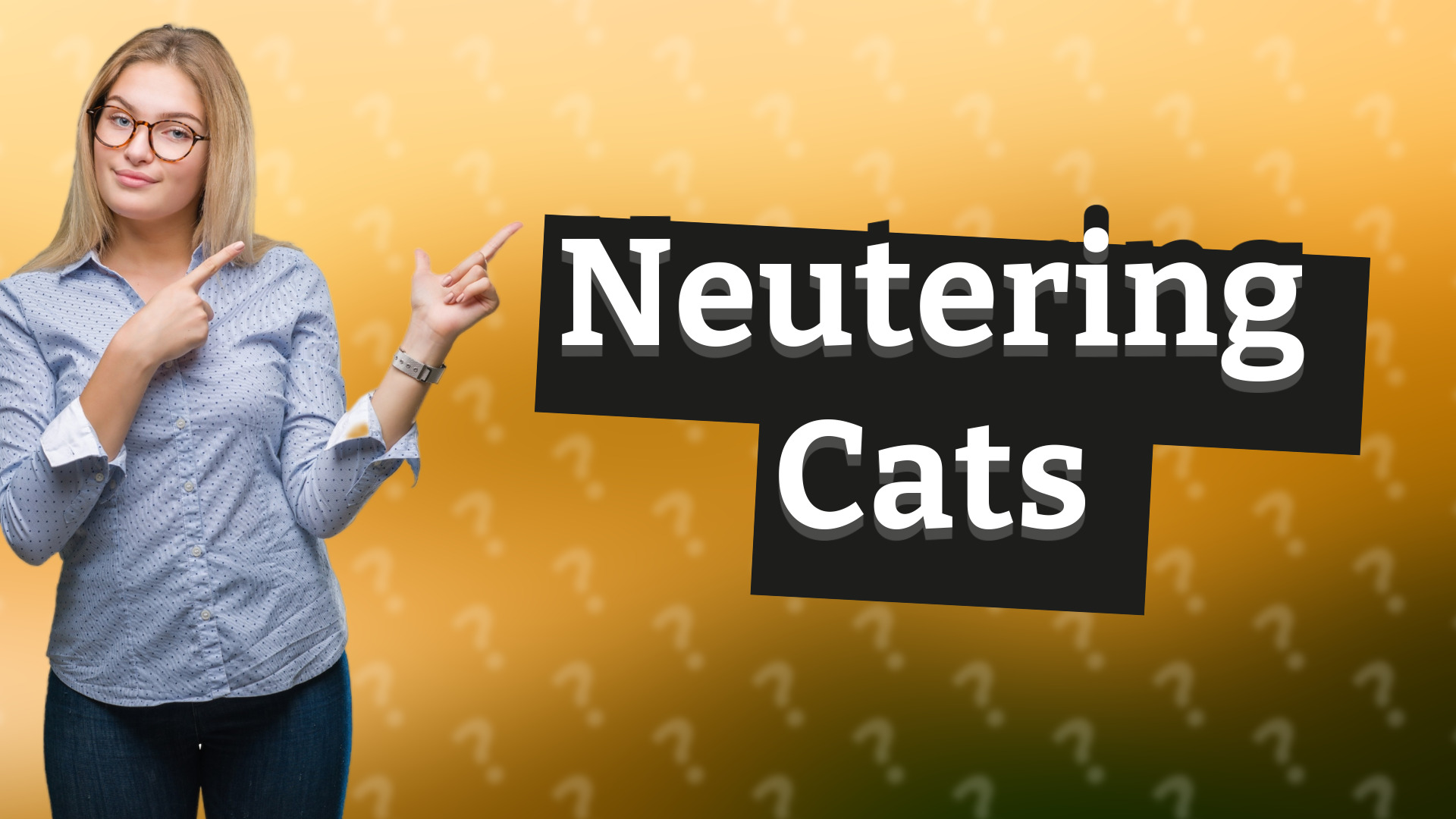Neutering Cats