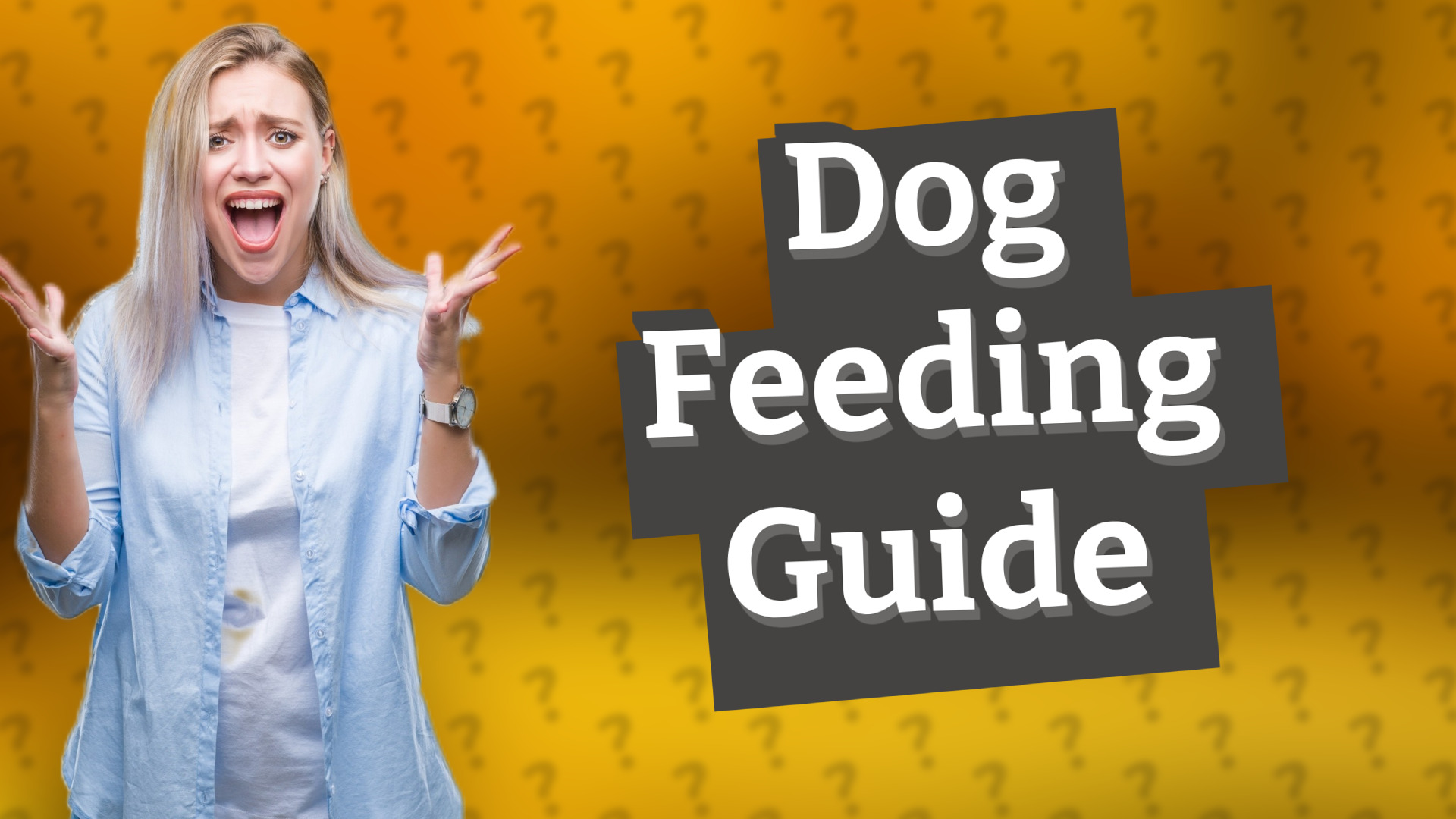 Dog Feeding Guide