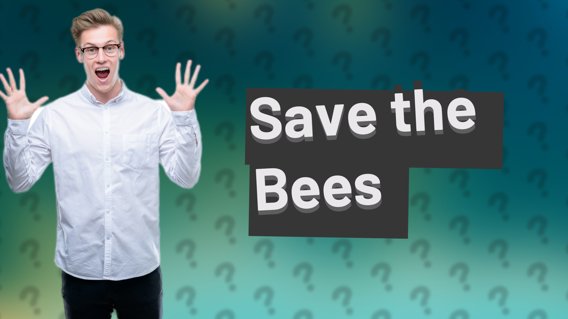 Save the Bees