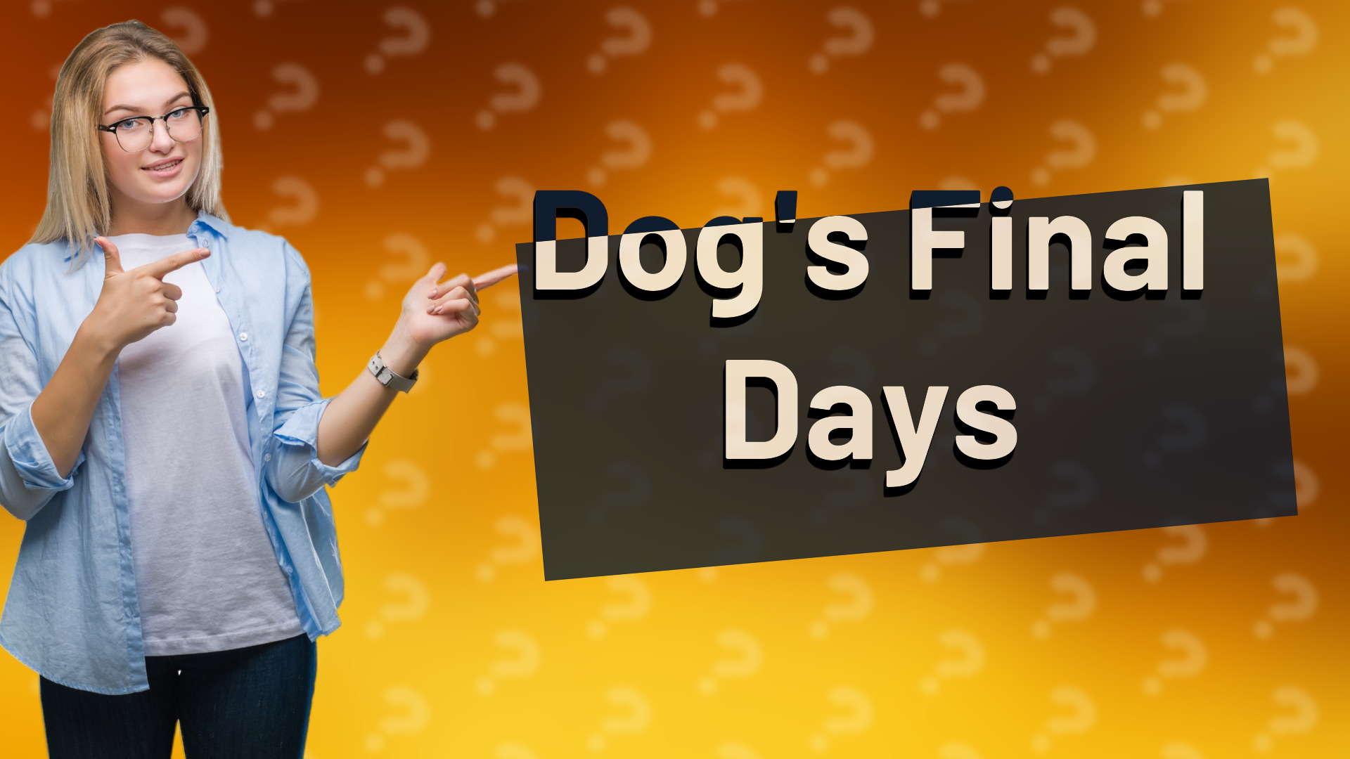 Dog's Final Days