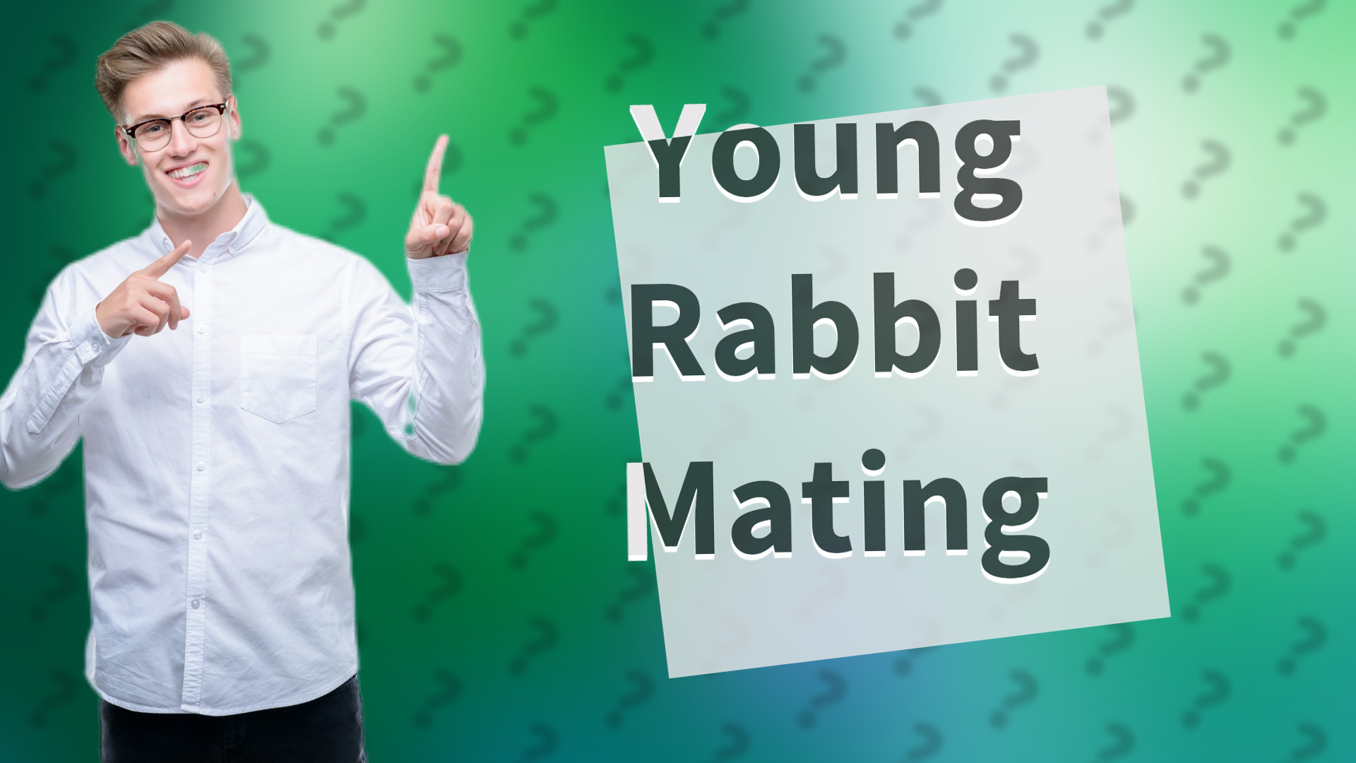 Young Rabbit Mating