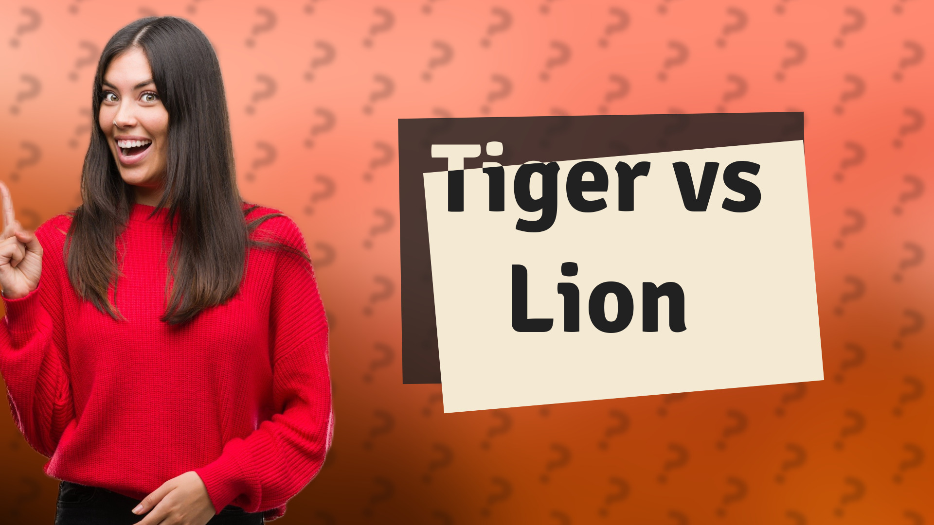 Tiger vs Lion