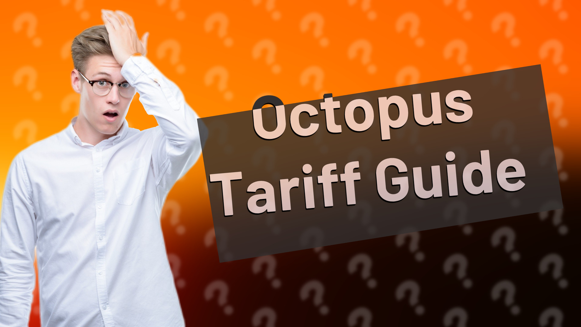 Octopus Tariff Guide