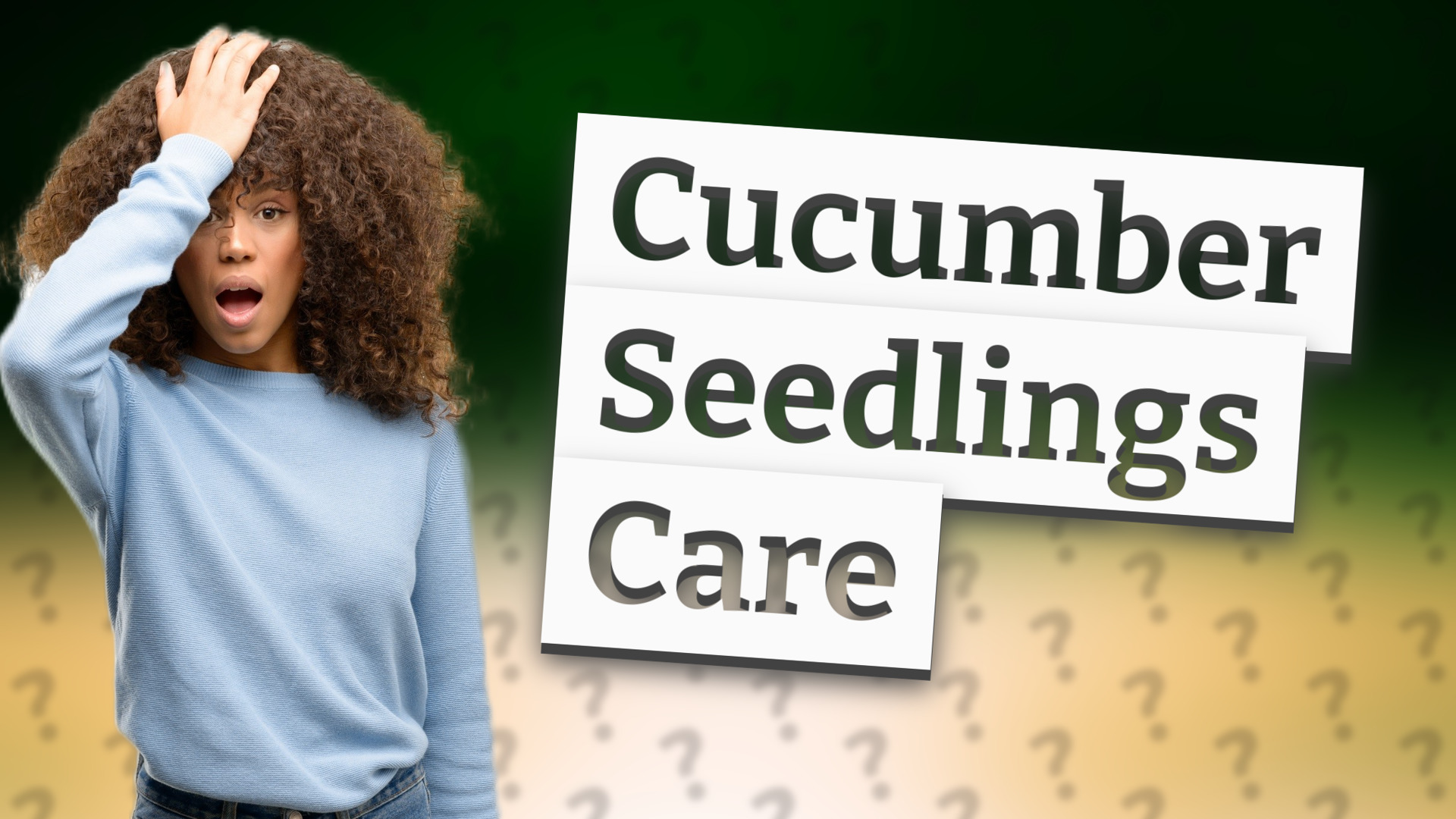 Cucumber Seedlings Care