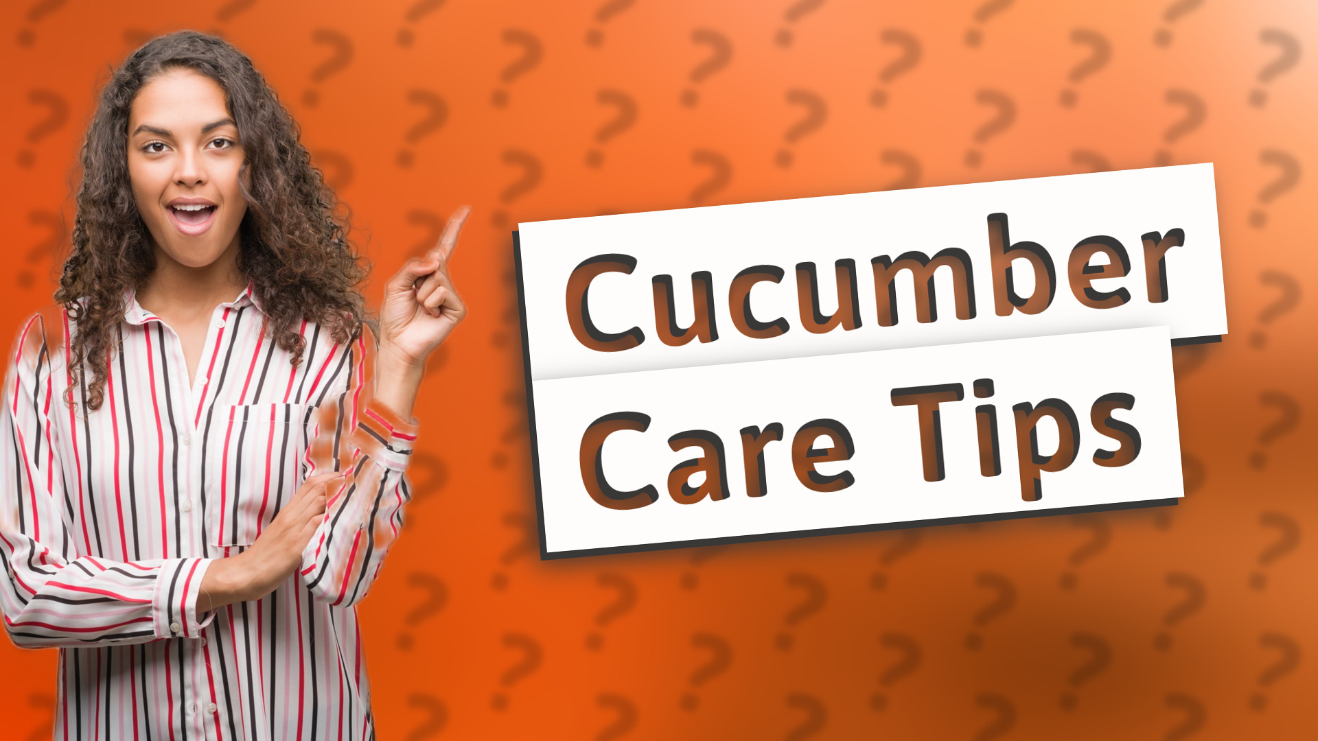 Cucumber Care Tips