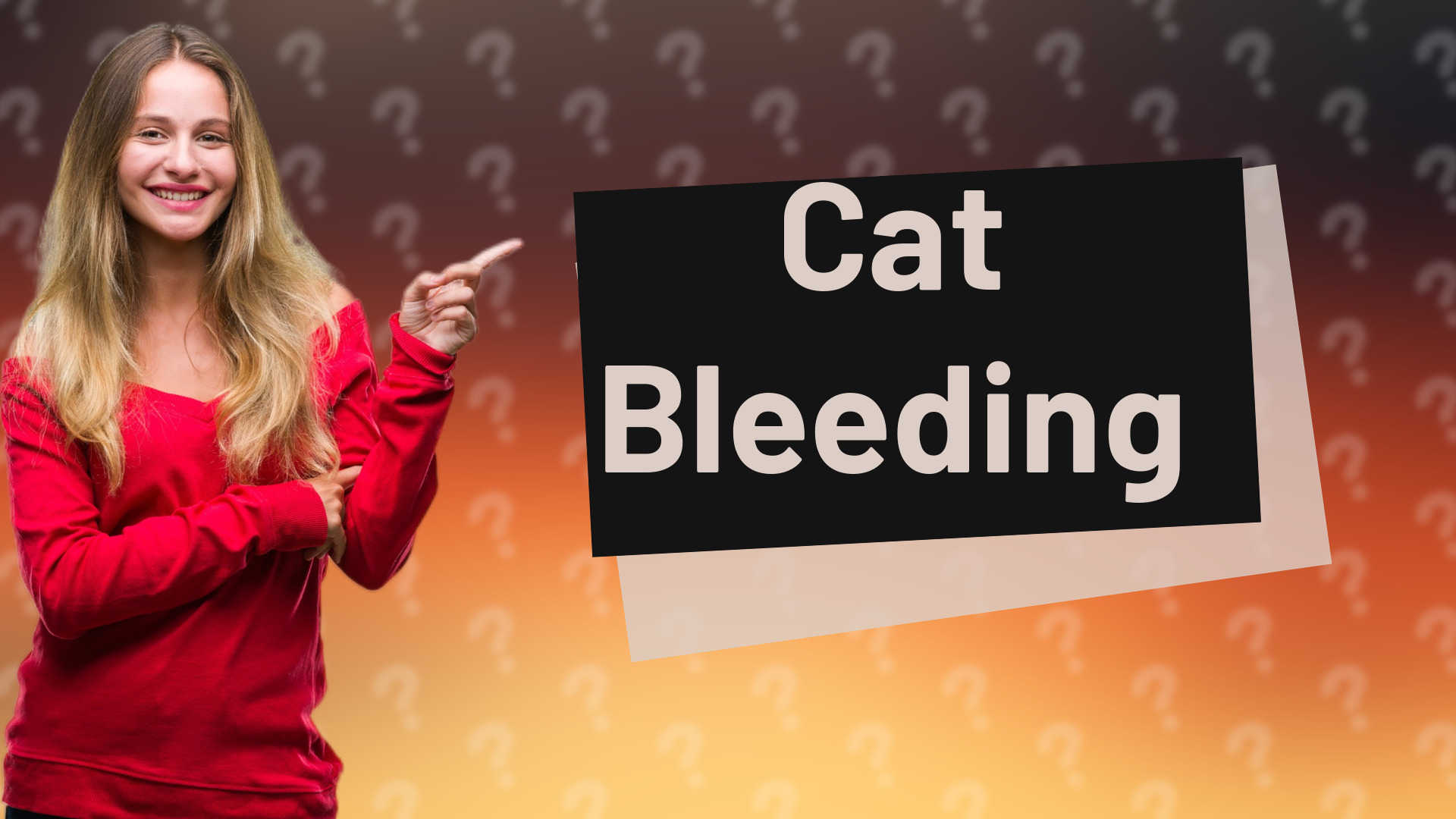 Cat Bleeding