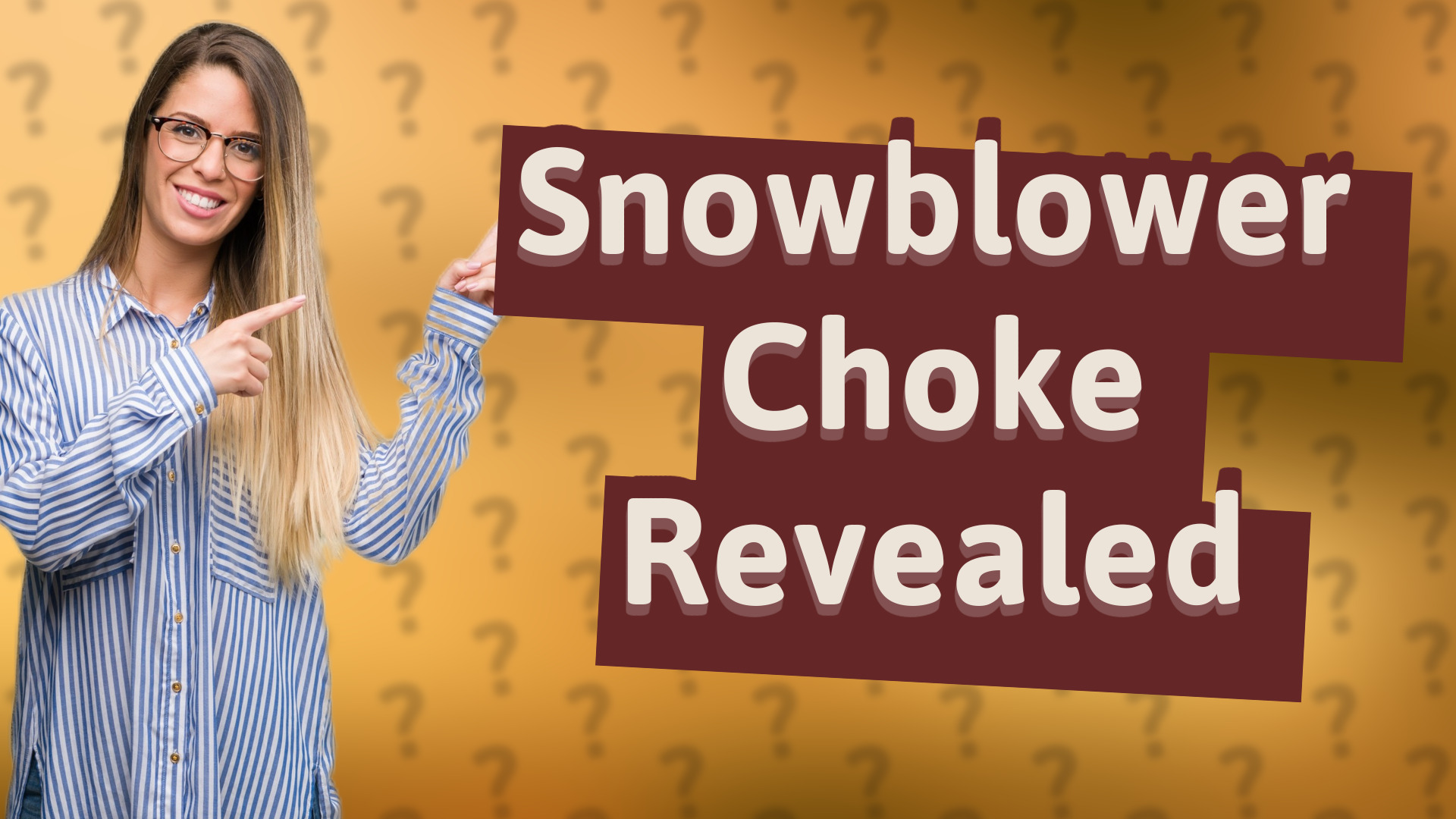 Snowblower Choke Revealed