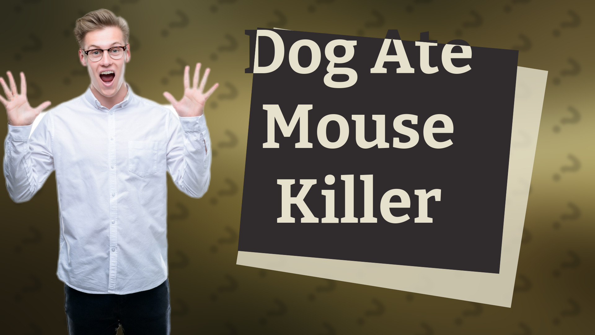Dog Ate Mouse Killer