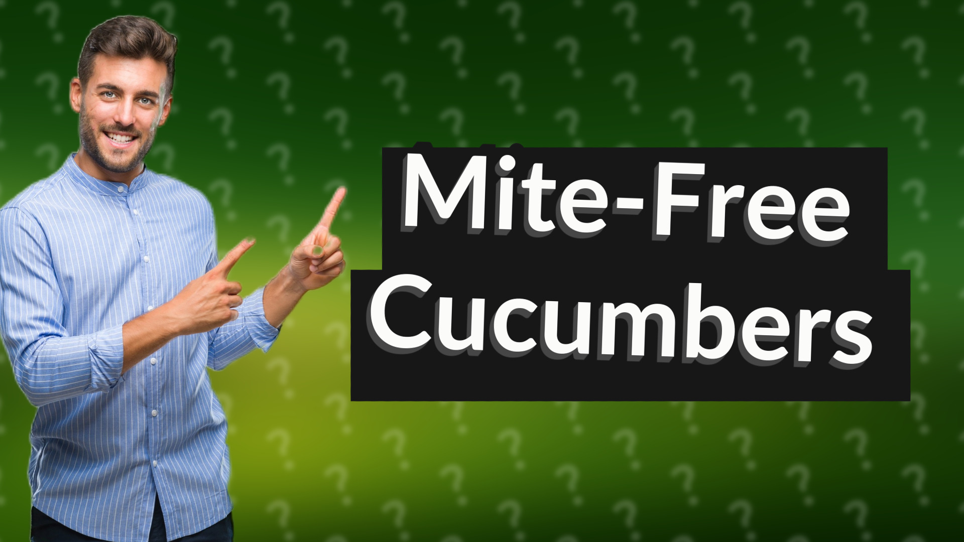 Mite-Free Cucumbers