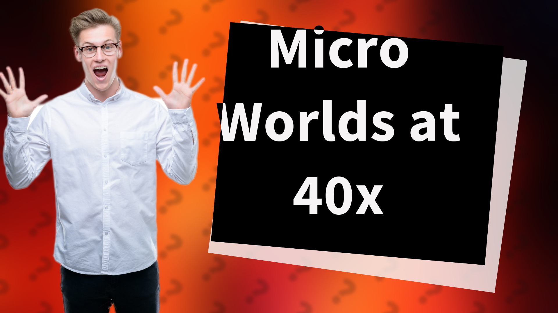 Micro Worlds at 40x