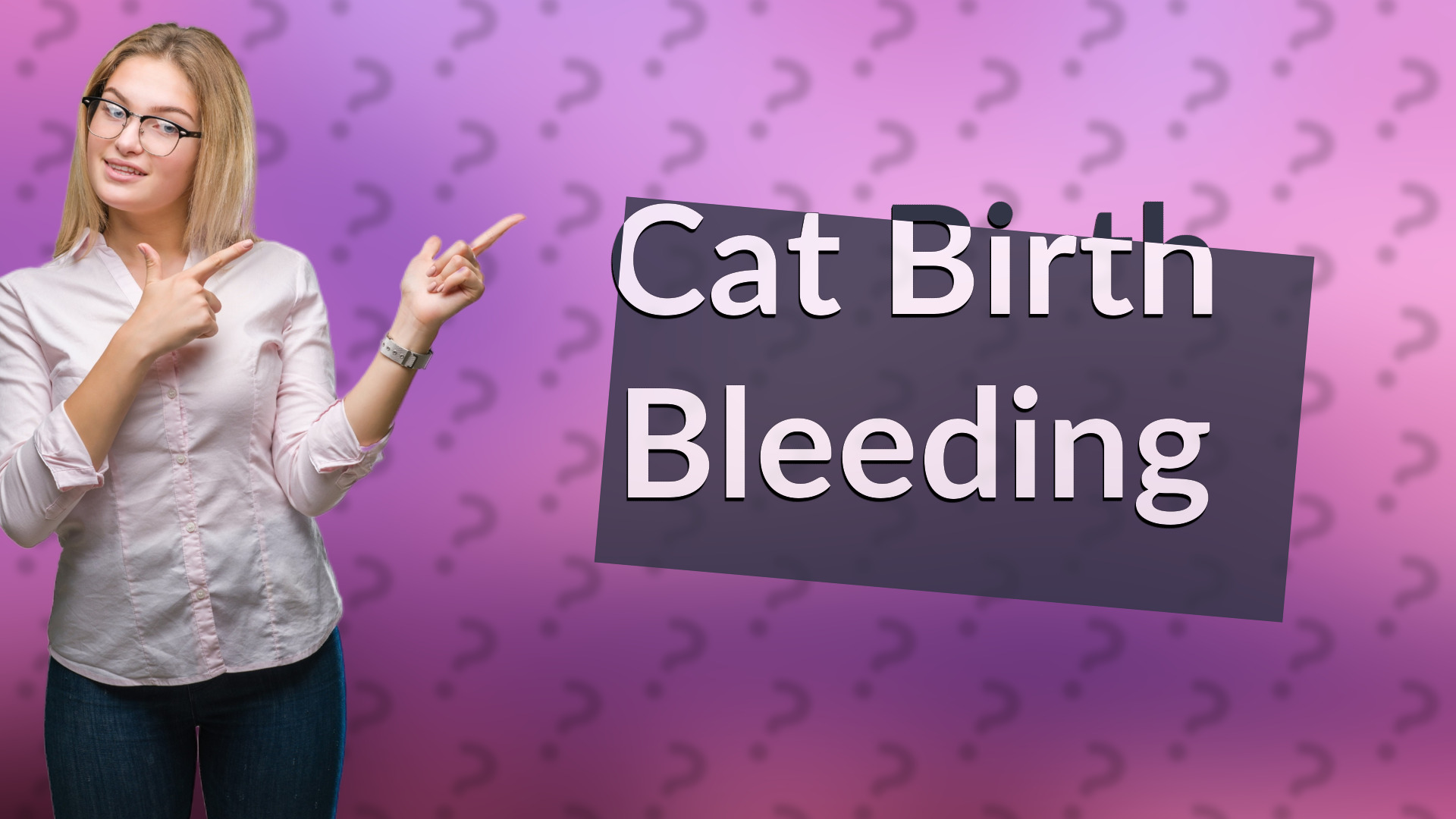 Cat Birth Bleeding