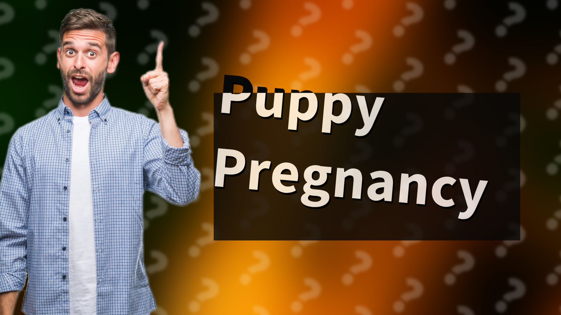 Puppy Pregnancy
