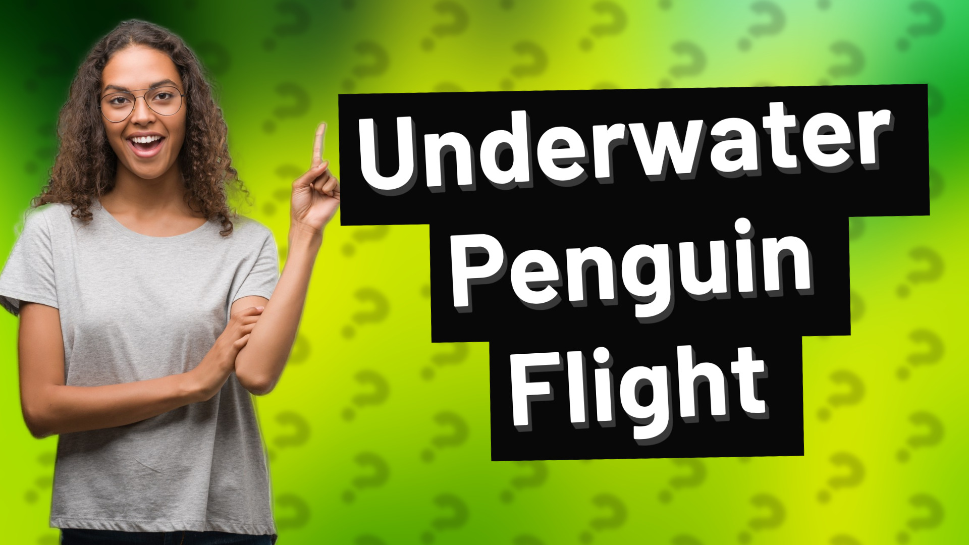 Underwater Penguin Flight