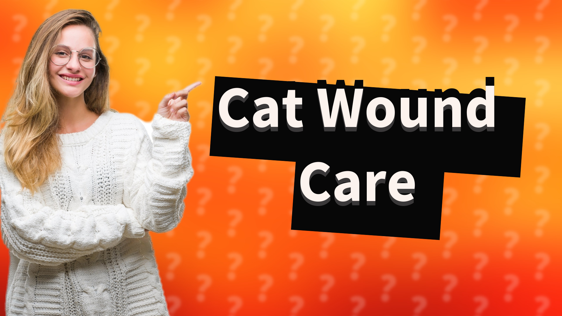 Cat Wound Care