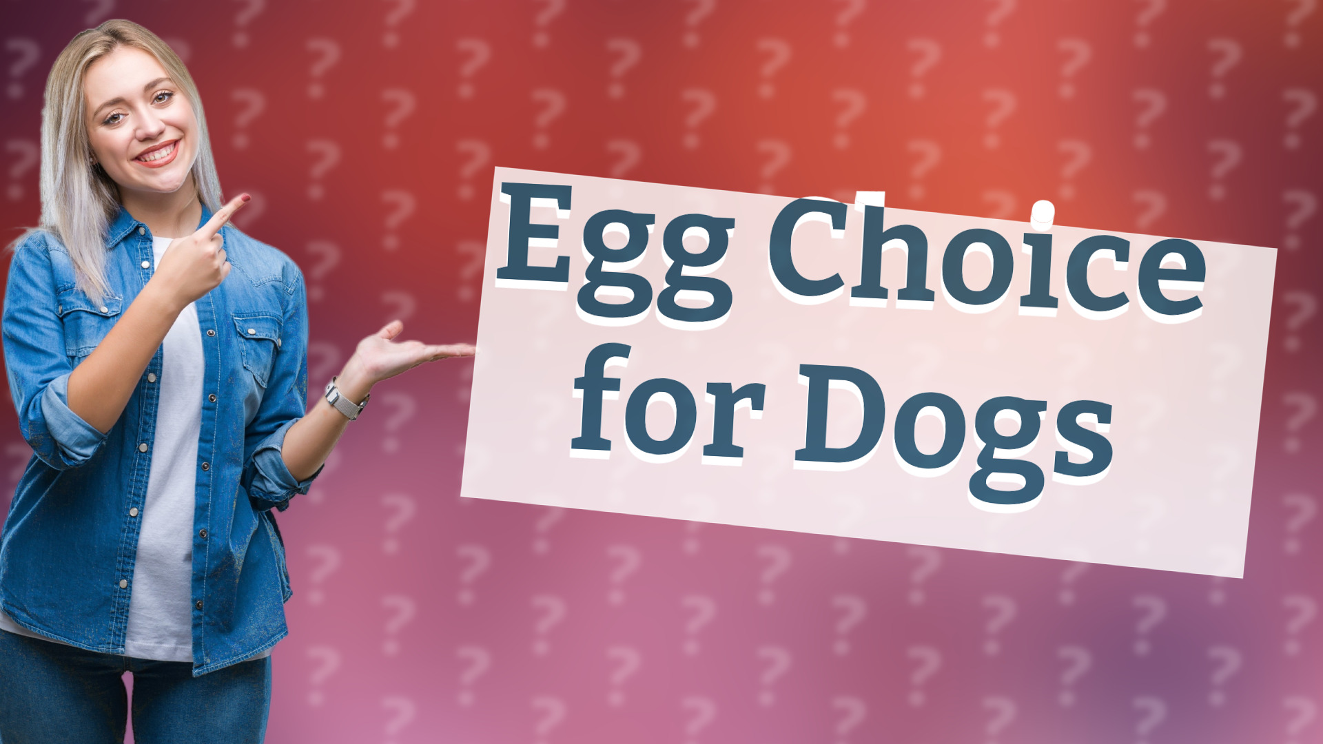Egg Choice for Dogs