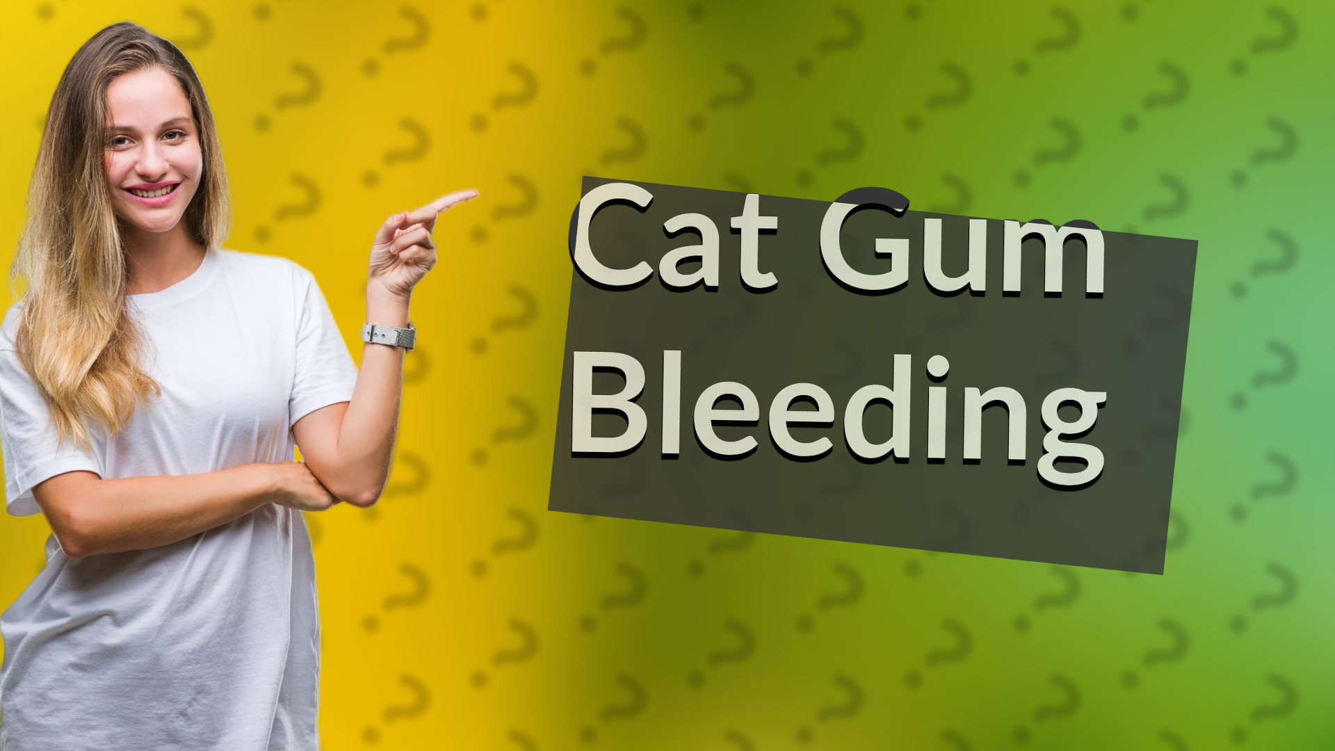 Cat Gum Bleeding