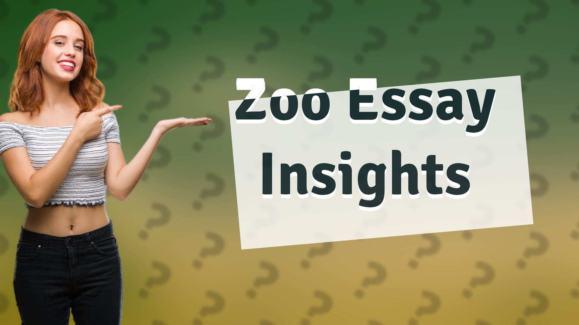 Zoo Essay Insights