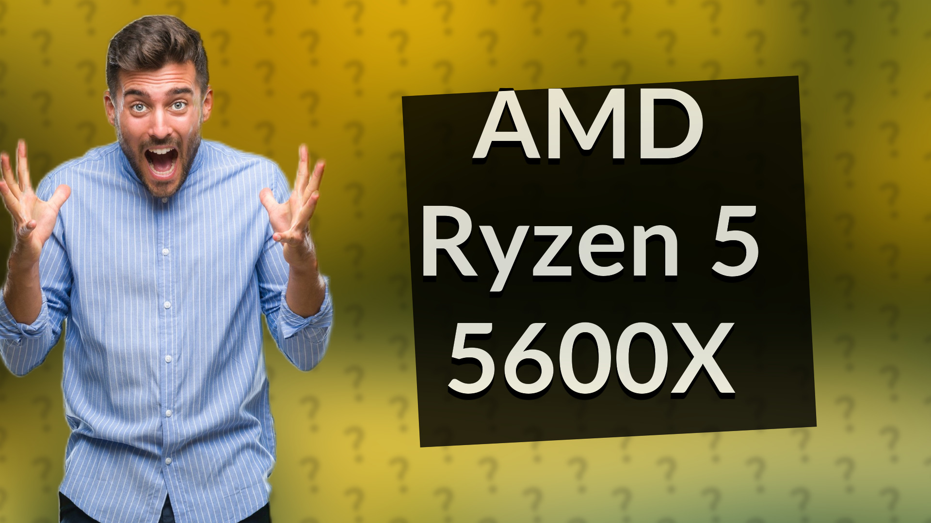 AMD Ryzen 5 5600X