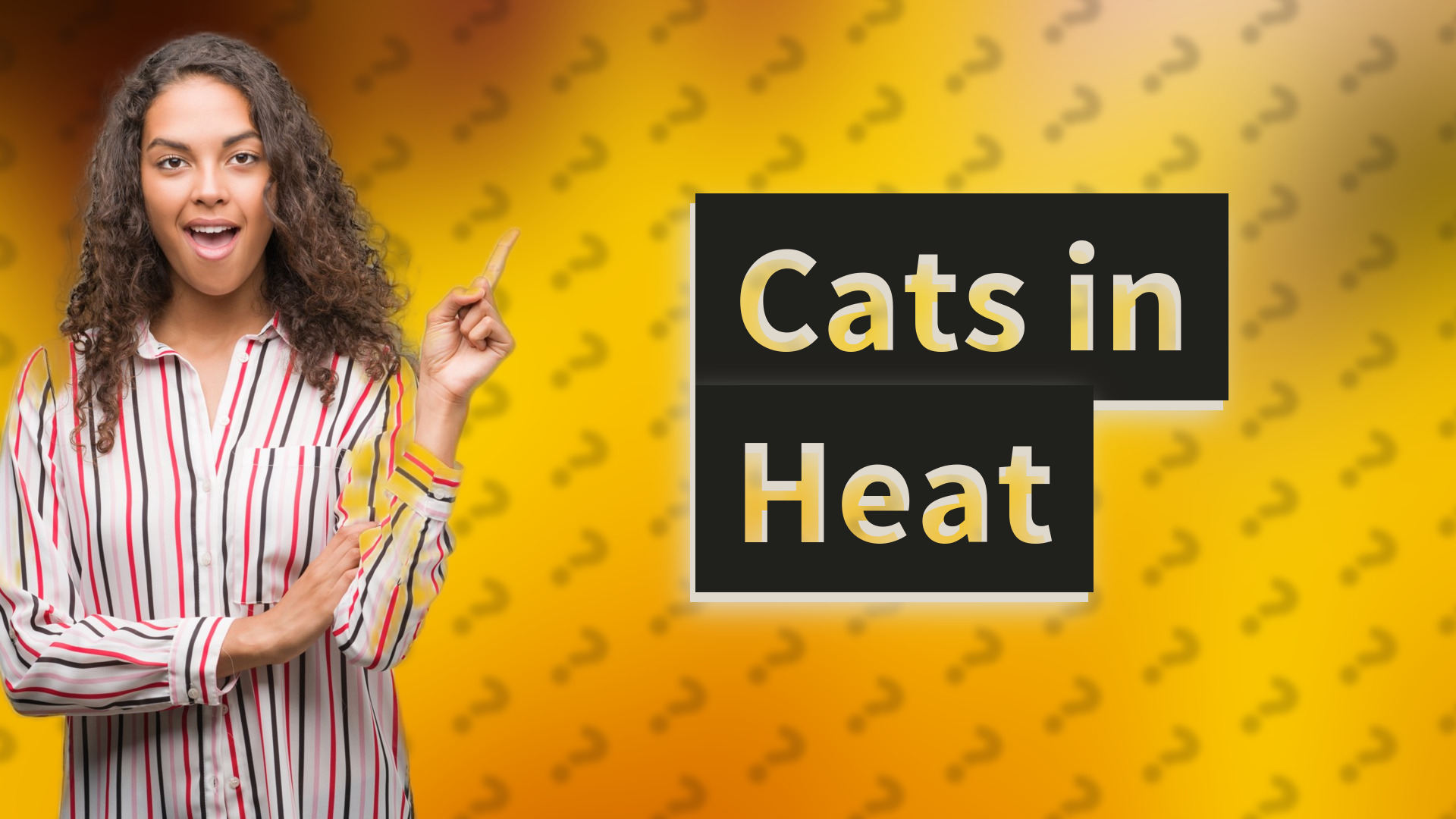 Cats in Heat