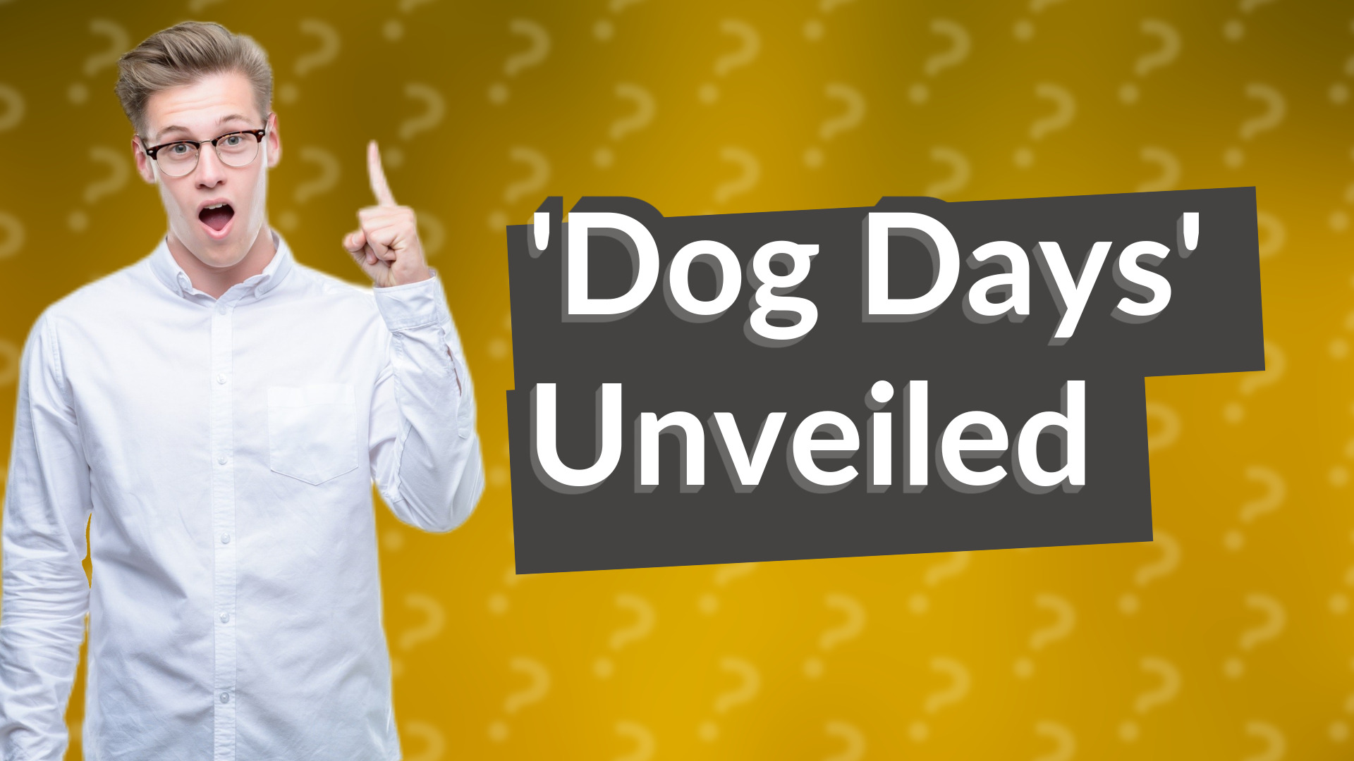 'Dog Days' Unveiled