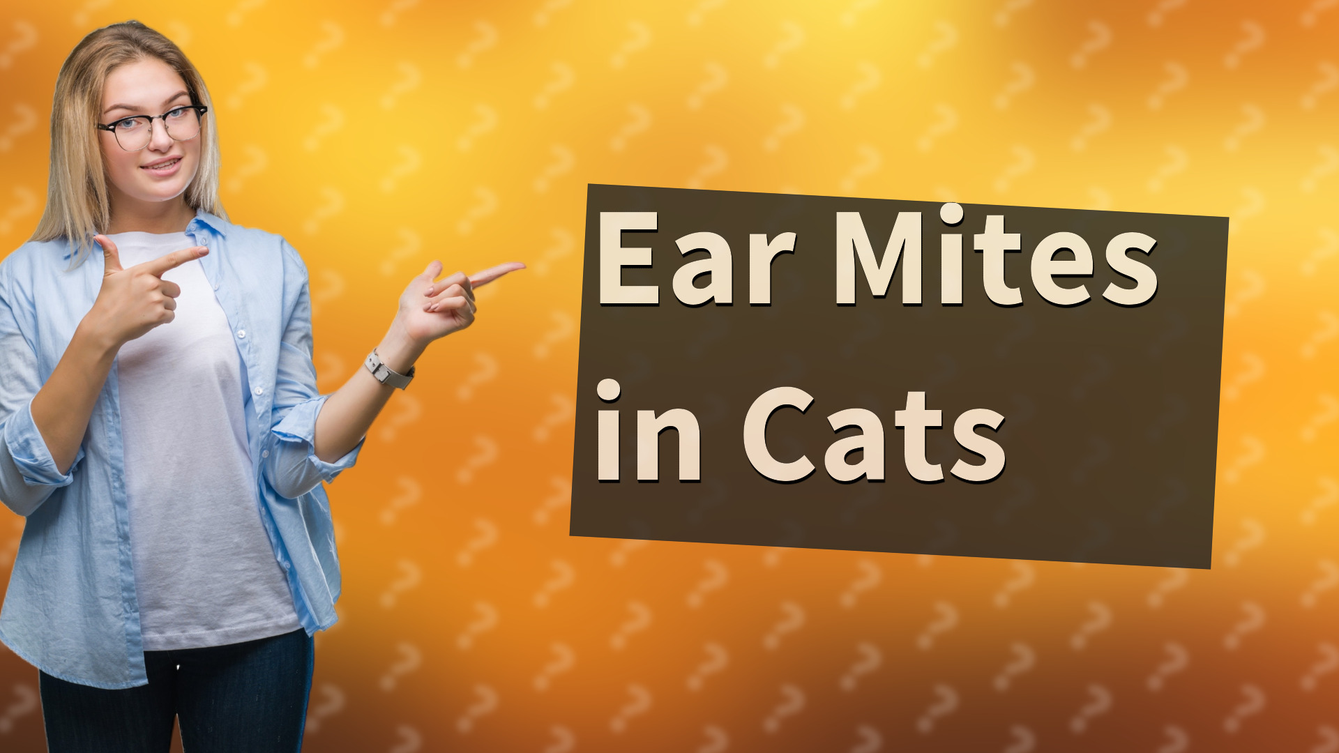 Ear Mites in Cats