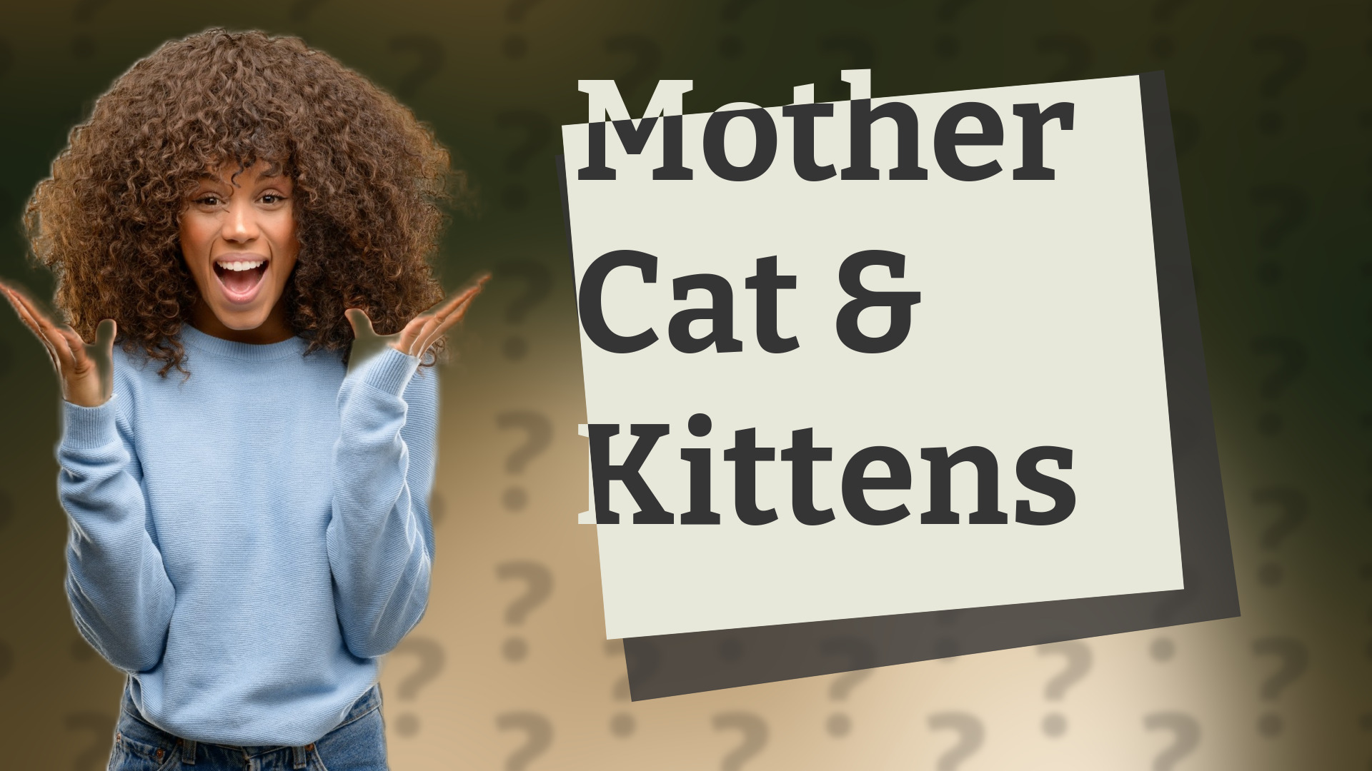 Mother Cat & Kittens