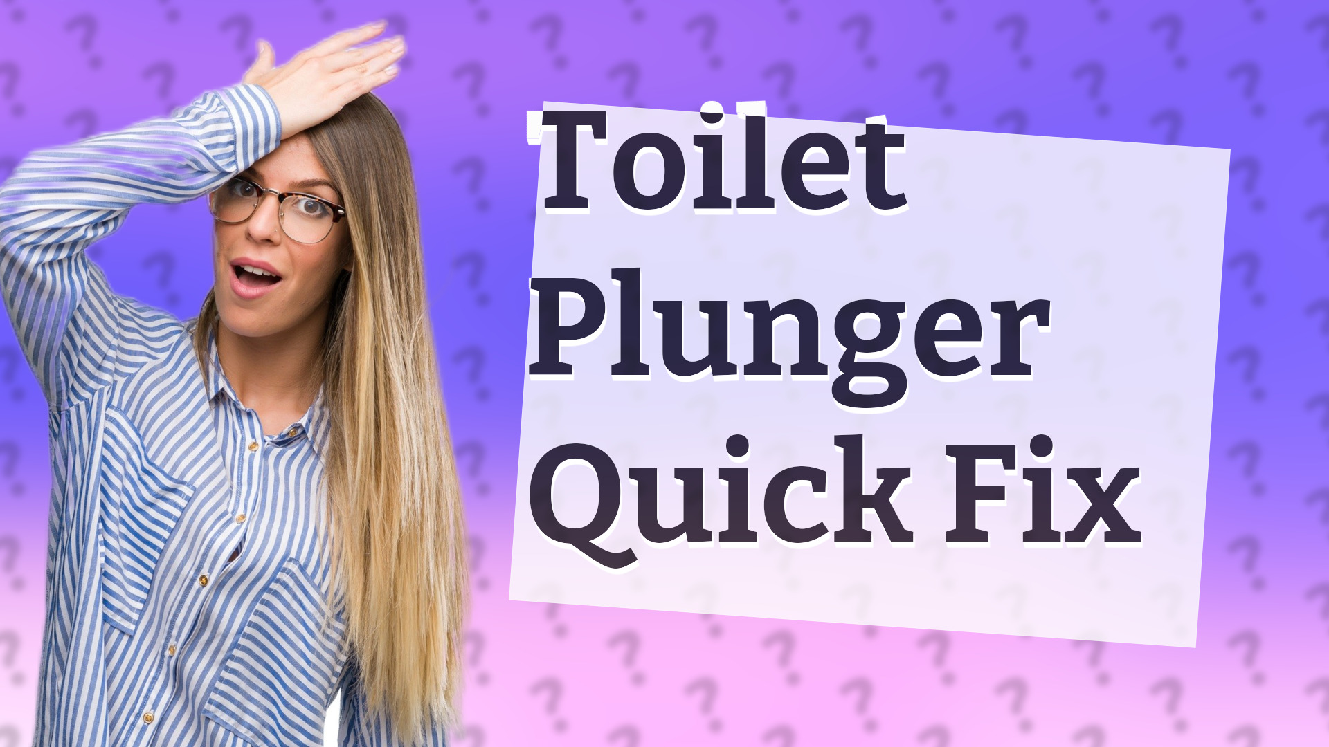 Toilet Plunger Quick Fix