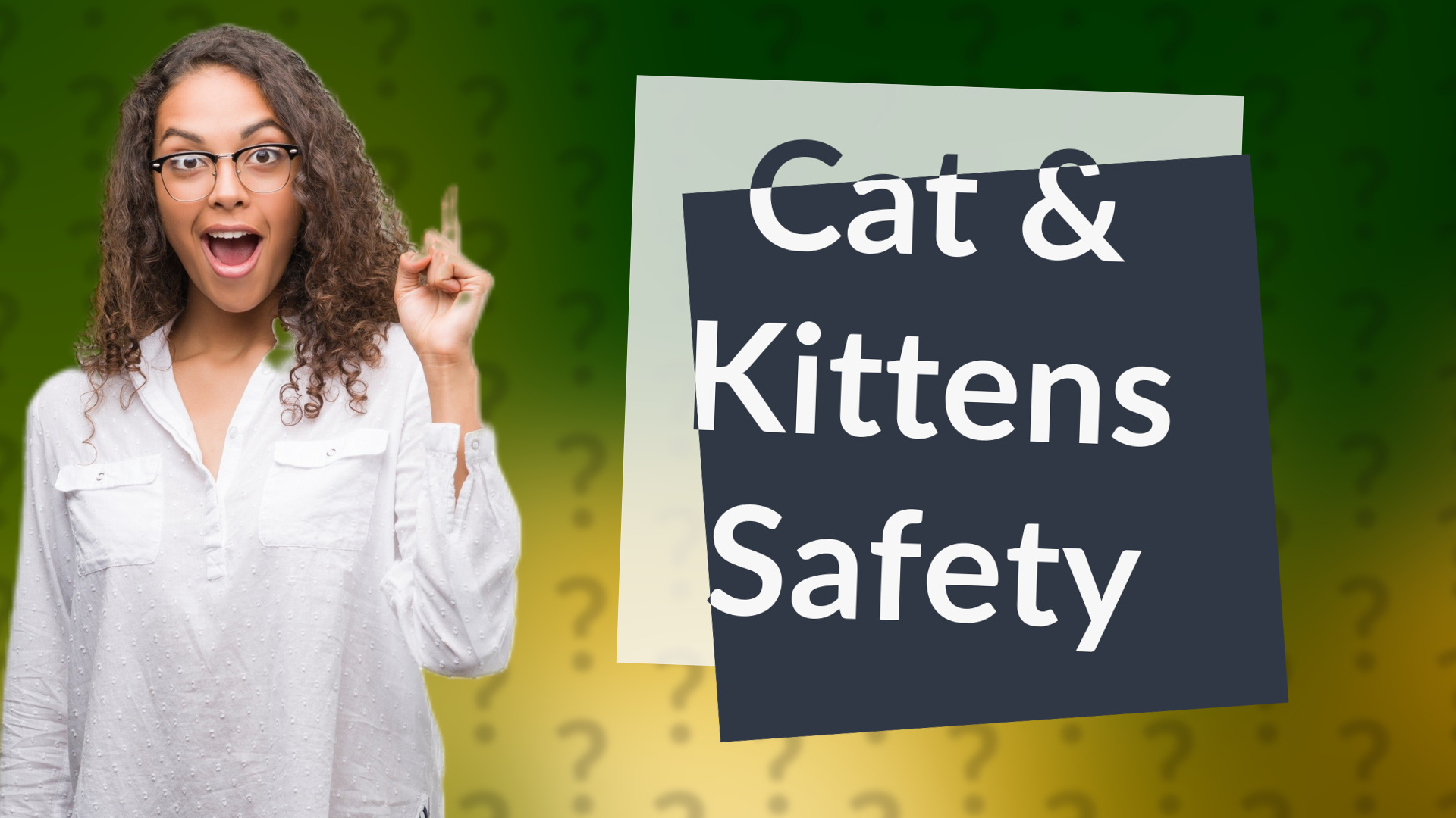 Cat & Kittens Safety