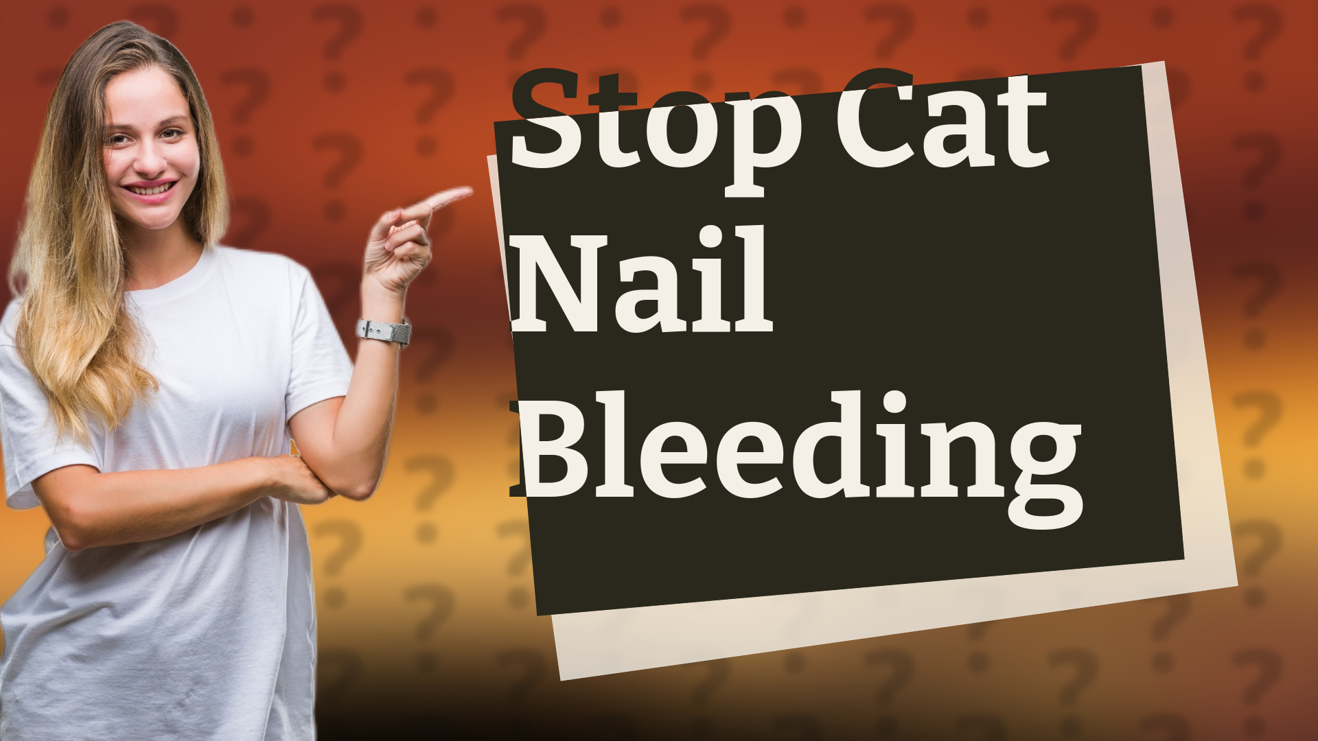 Stop Cat Nail Bleeding