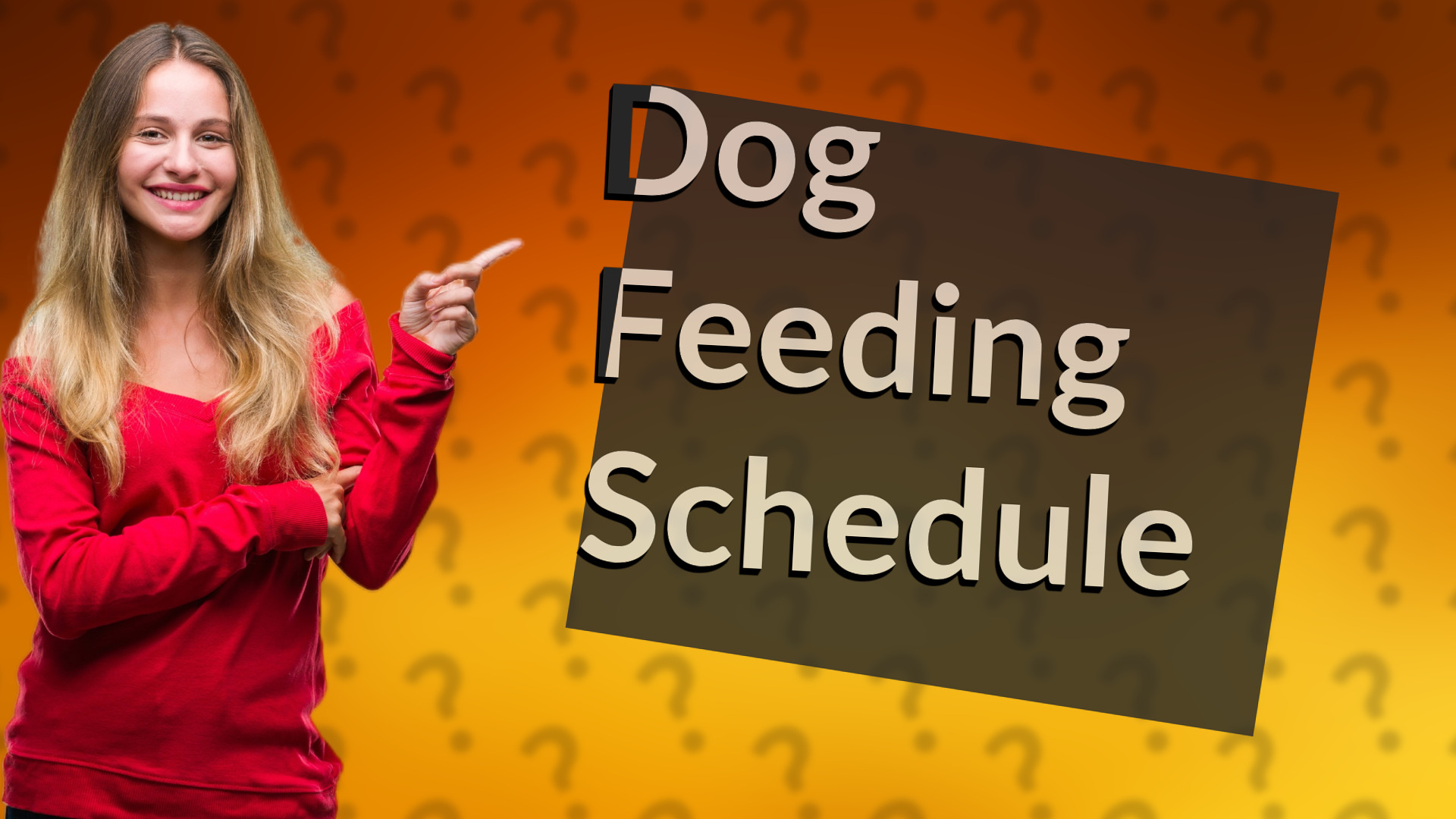 Dog Feeding Schedule