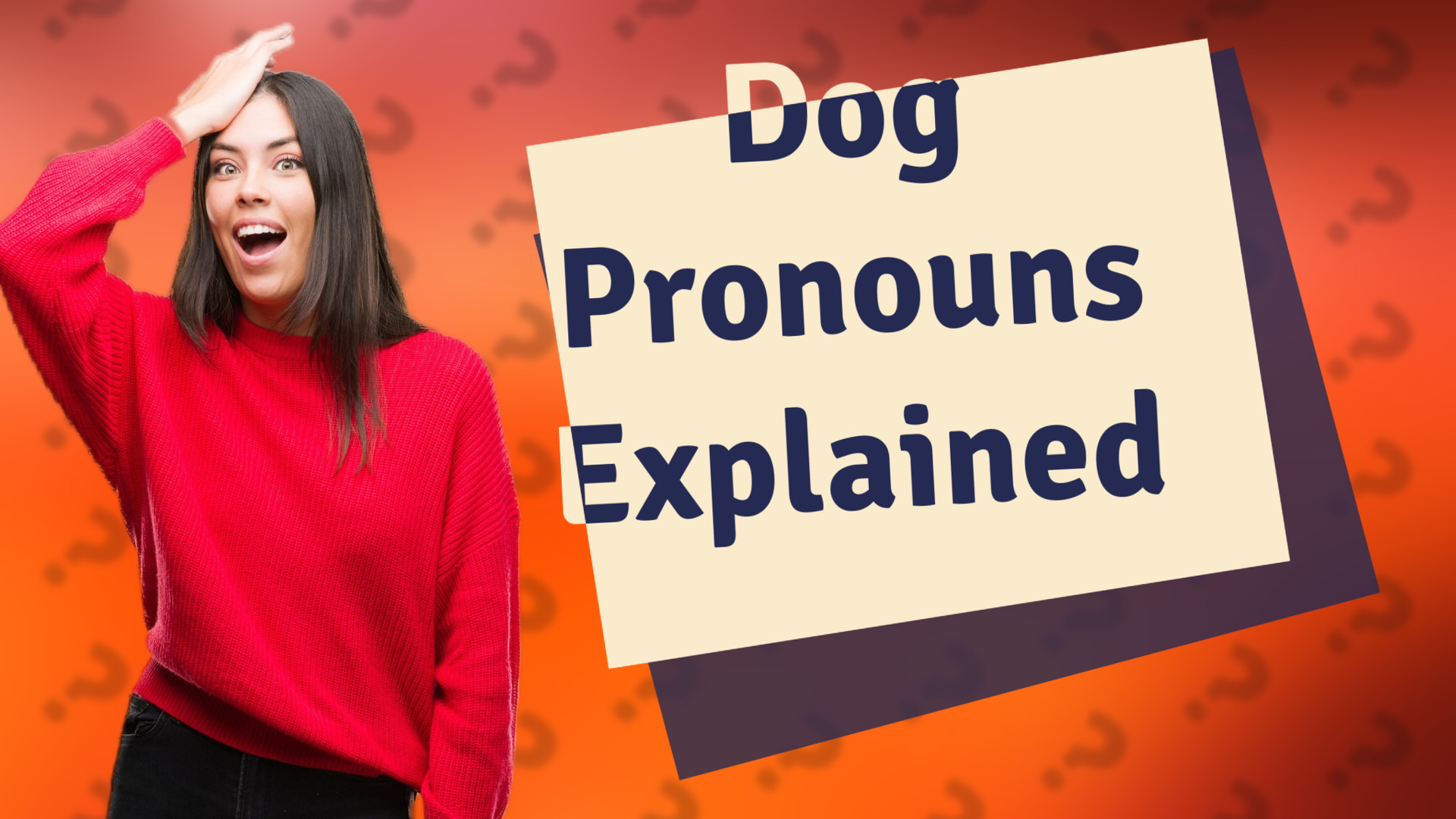 Dog Pronouns Explained