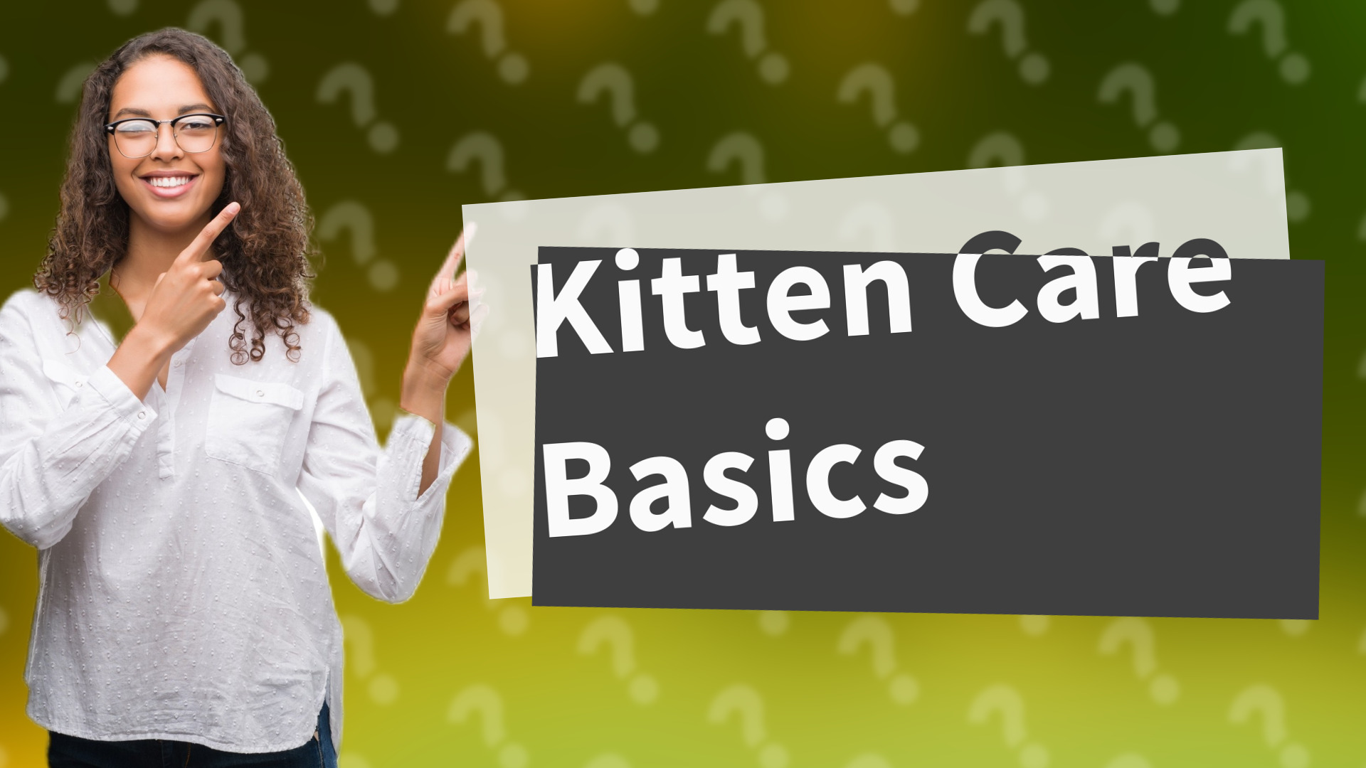 Kitten Care Basics