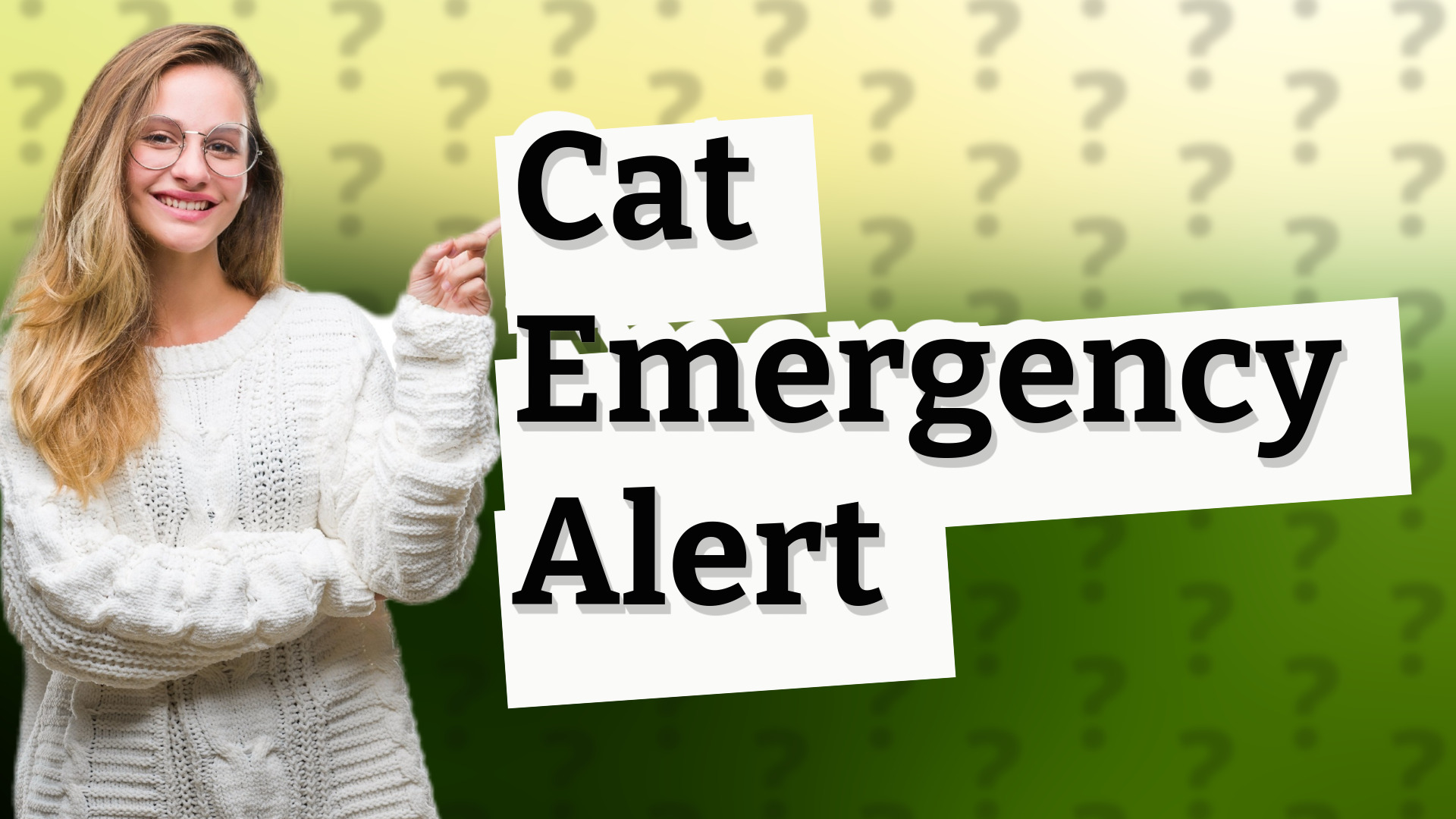 Cat Emergency Alert