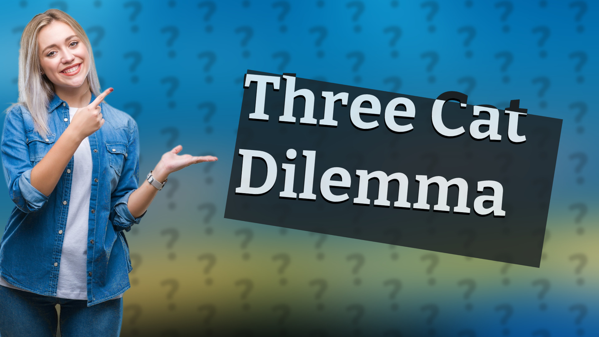 Three Cat Dilemma