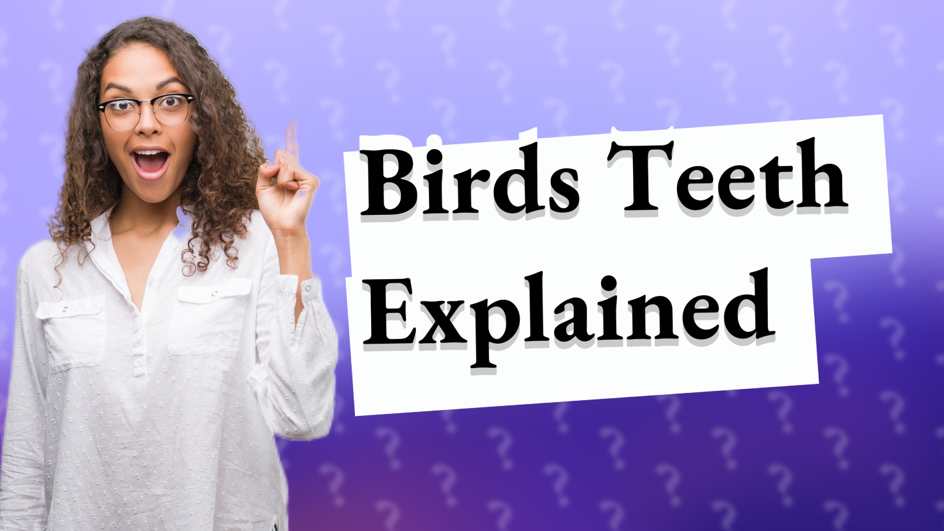 Birds Teeth Explained