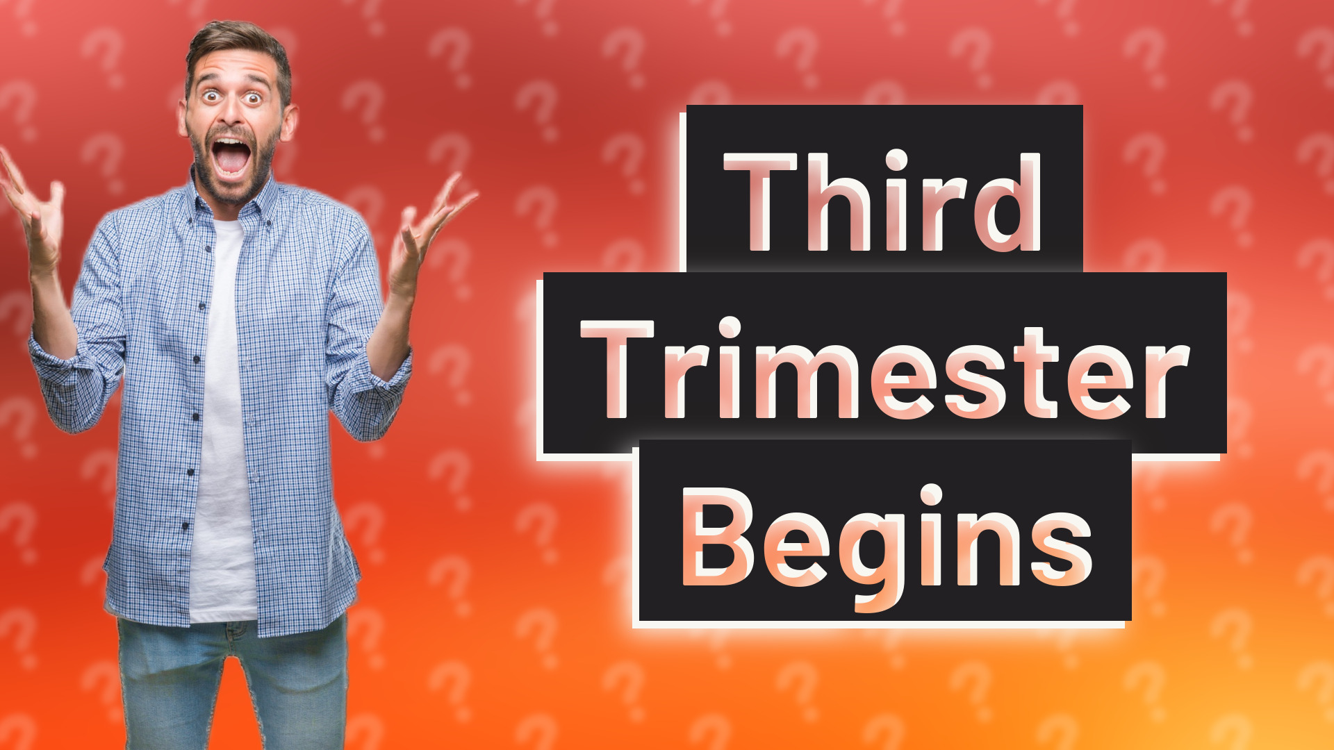 Third Trimester Begins
