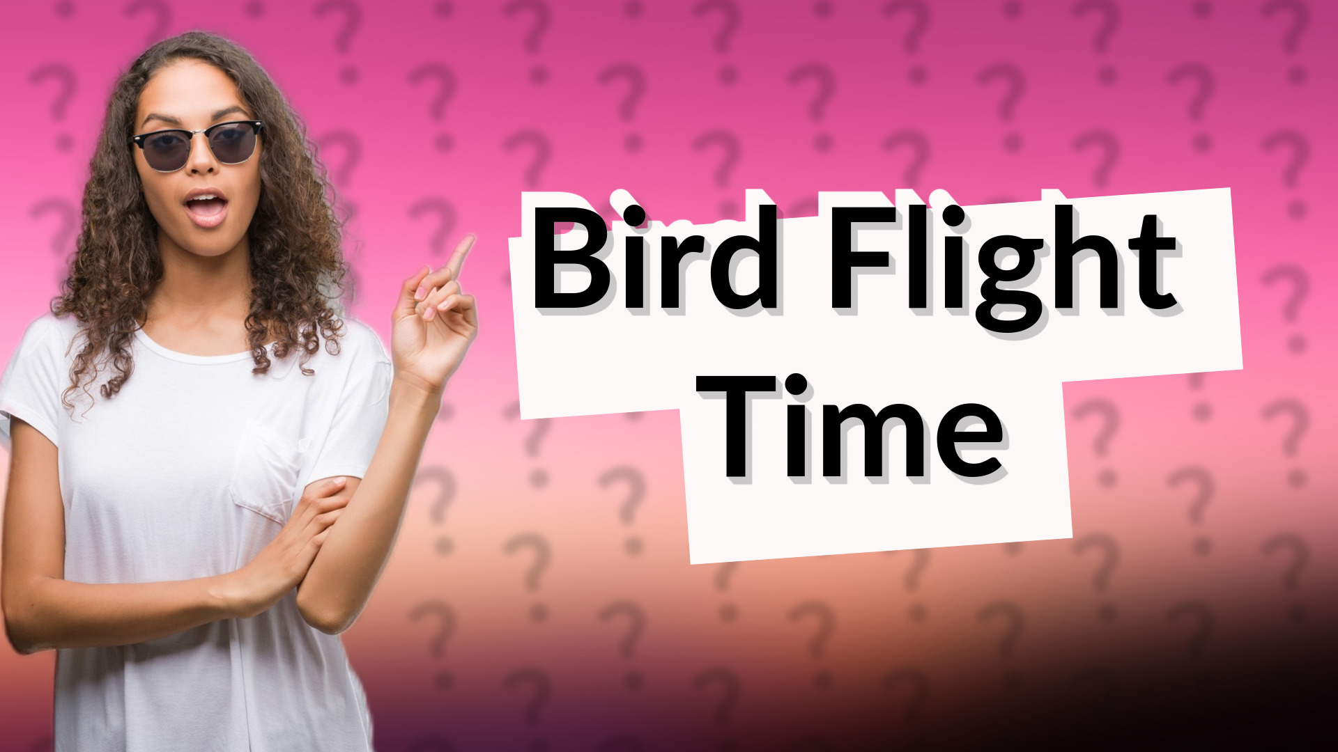 Bird Flight Time