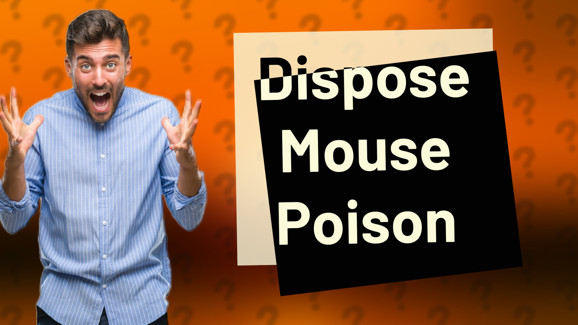 Dispose Mouse Poison
